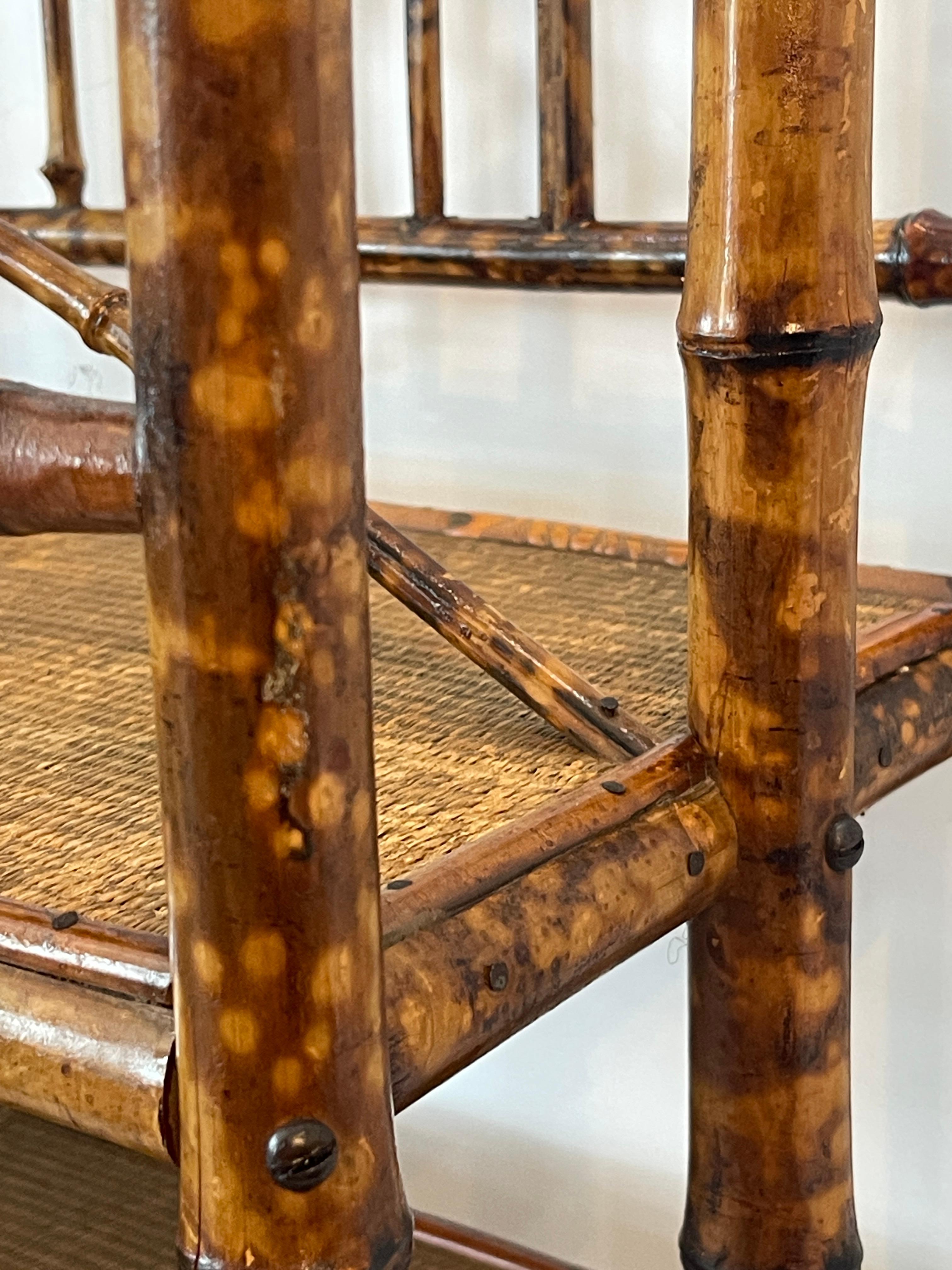 English Colonial Tortoise Shell Large Magazine Holder, C1880 3
