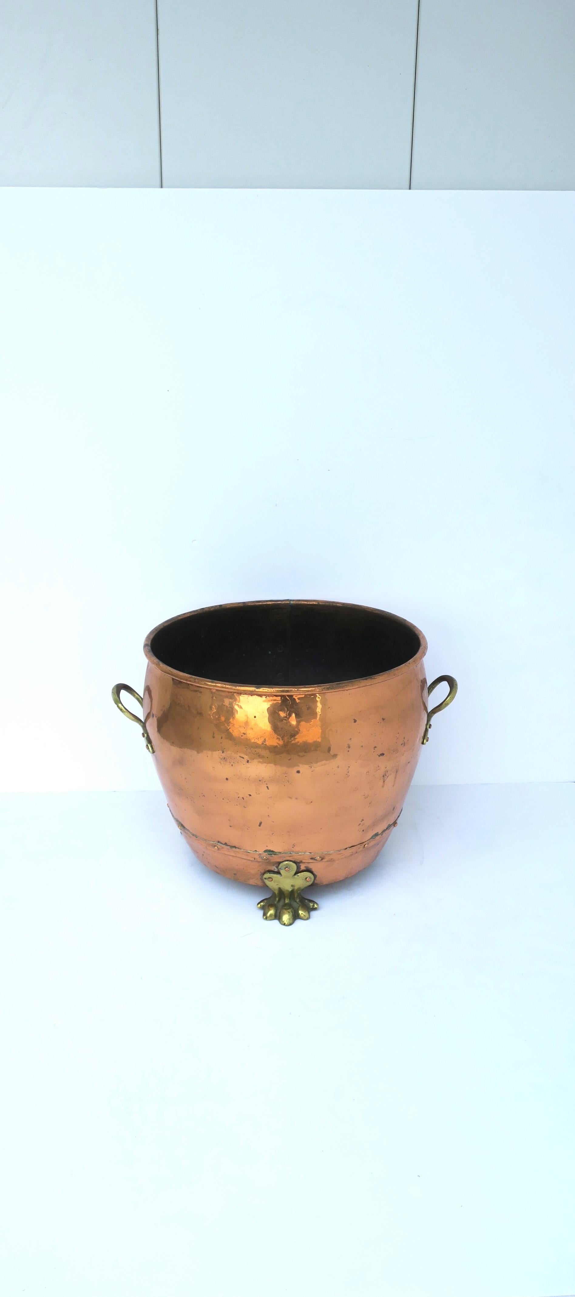 Regency English Copper and Brass Fireplace Chimney or Firewood Pot with Lion Paw Feet