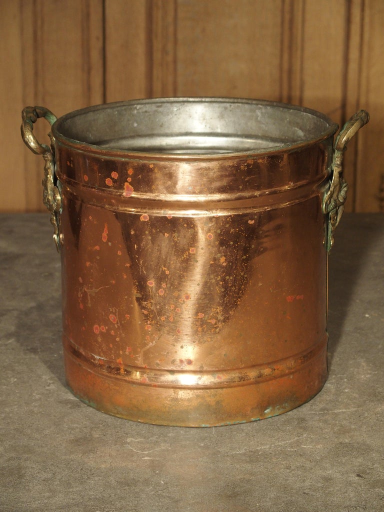 English Copper Wine Bucket with Brass Grape Leaf Handles at 1stDibs