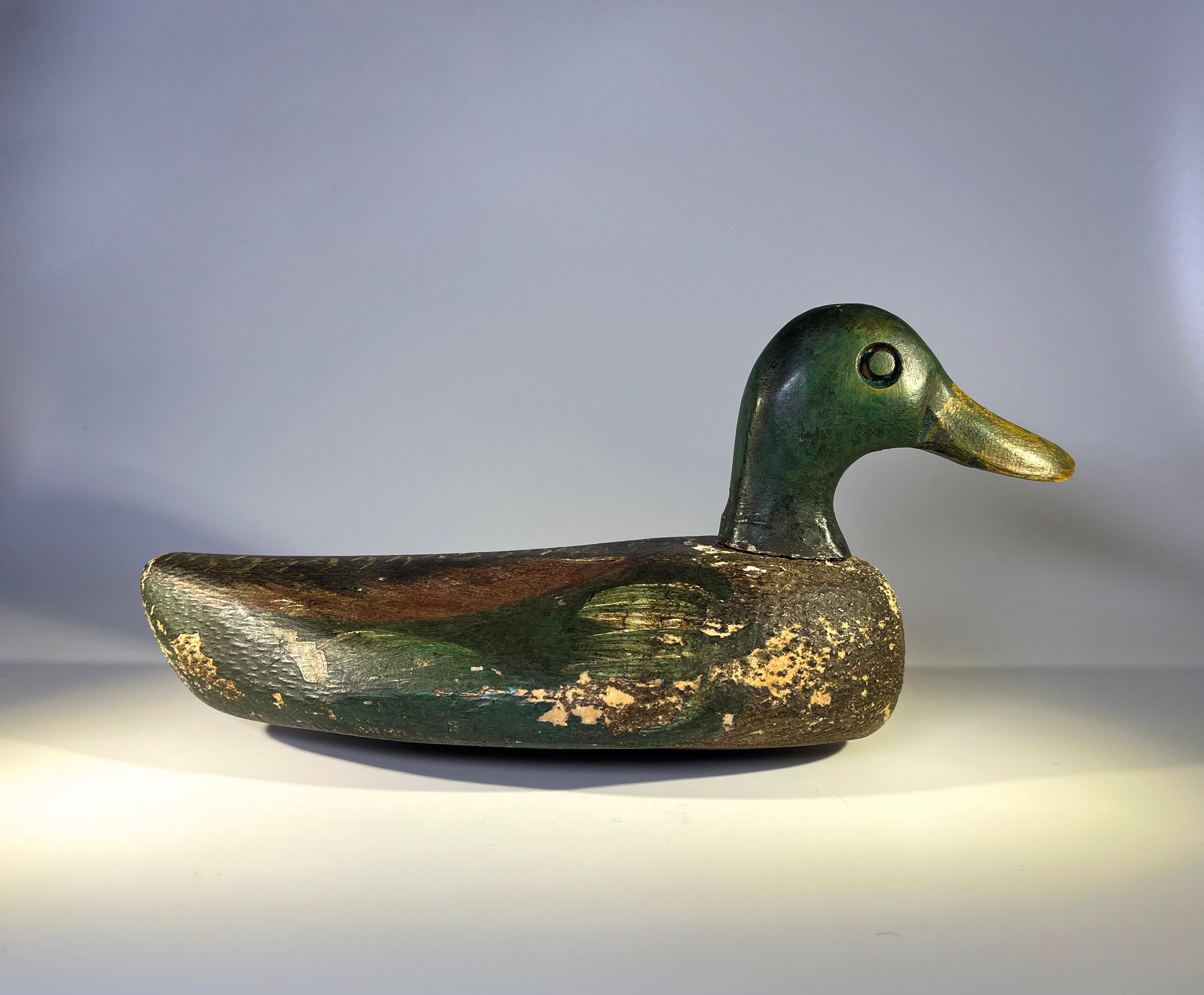 Antique English wood and cork Mallard drake decoy with original paint.
Hand crafted in England.
Lightweight, with impressionistic shape and form.
Circa early 20th century.
Tip of beak to tail 11 inch, width across body 4.5 inch, height 5