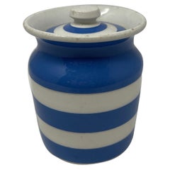 Used T.G. Green Cornishware Canister 