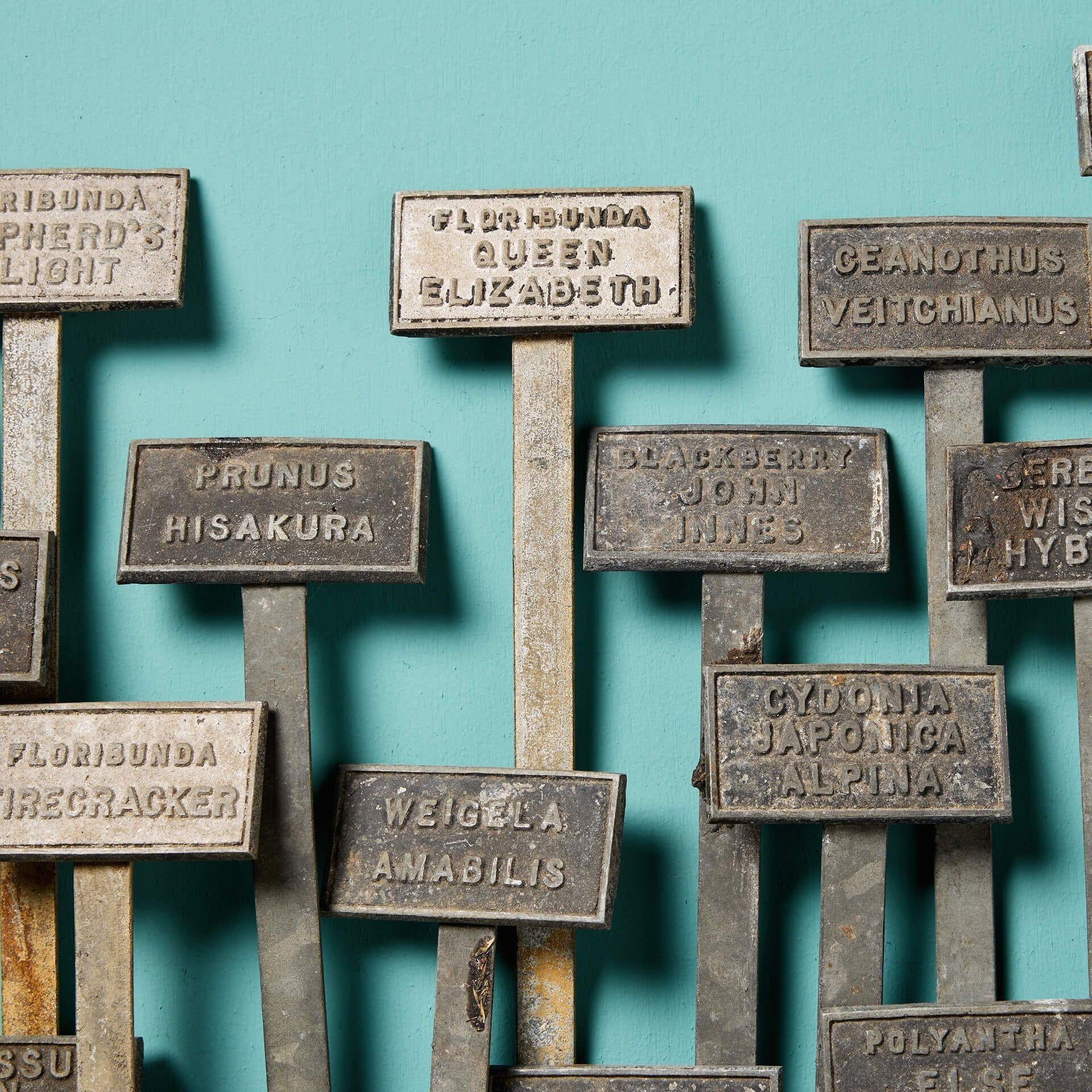 English Country Garden Zinc Plant Identification Labels In Fair Condition For Sale In Wormelow, Herefordshire