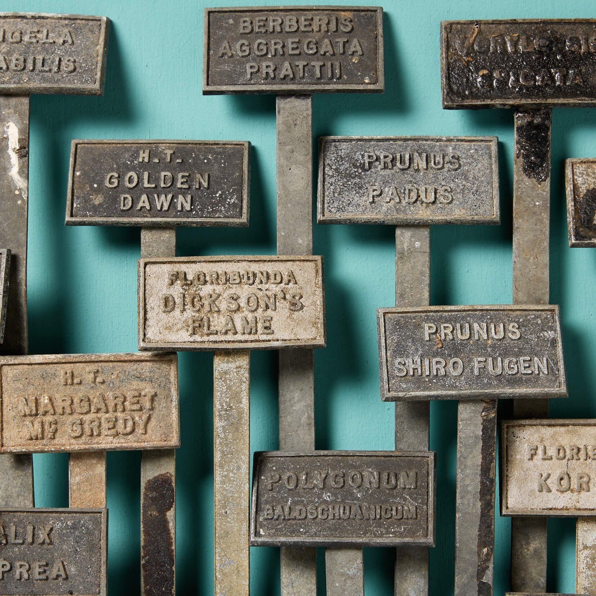 20th Century English Country Garden Zinc Plant Identification Labels For Sale