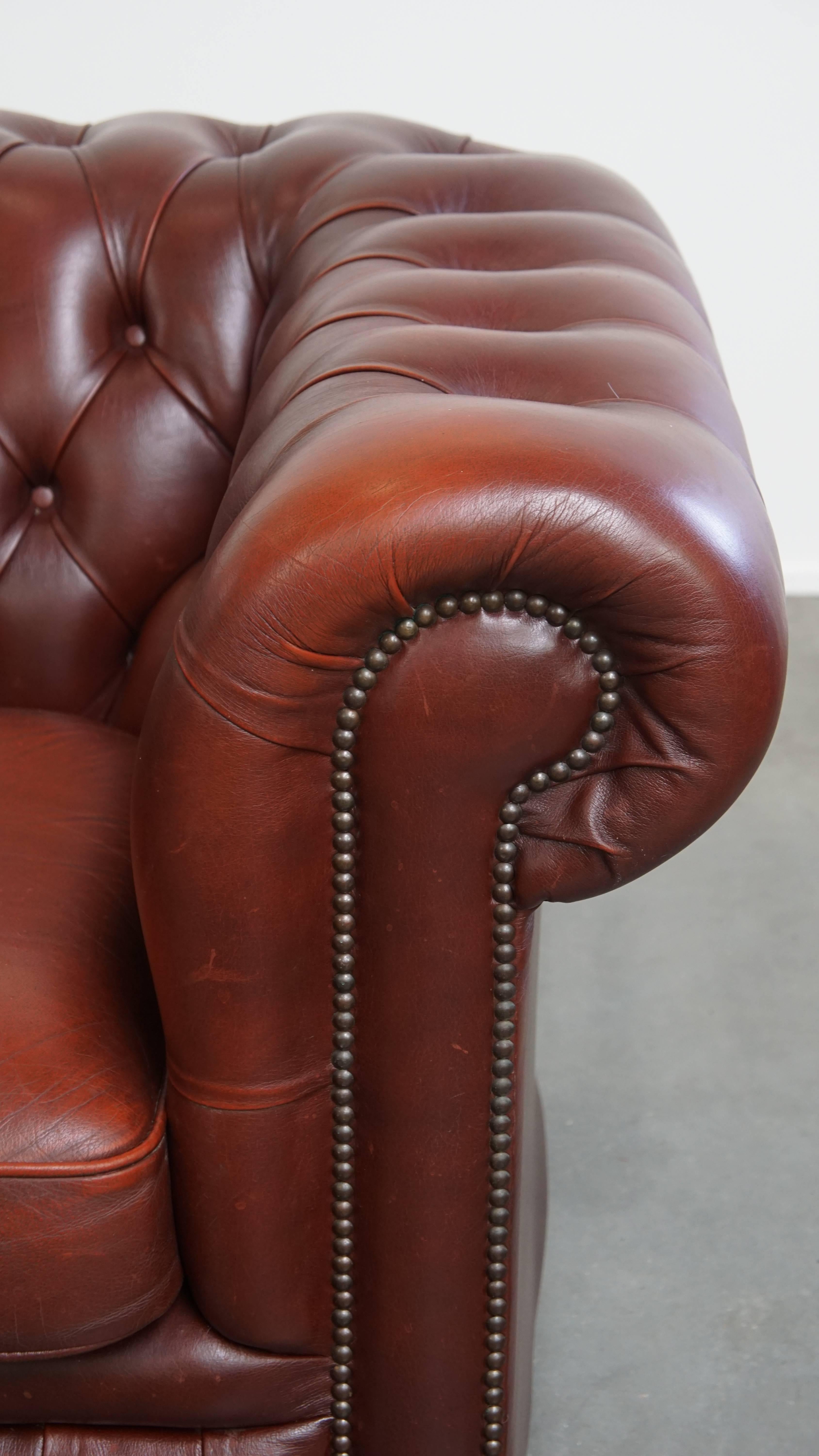 Fauteuil Chesterfield anglais en cuir de vache par Springvale en vente 4