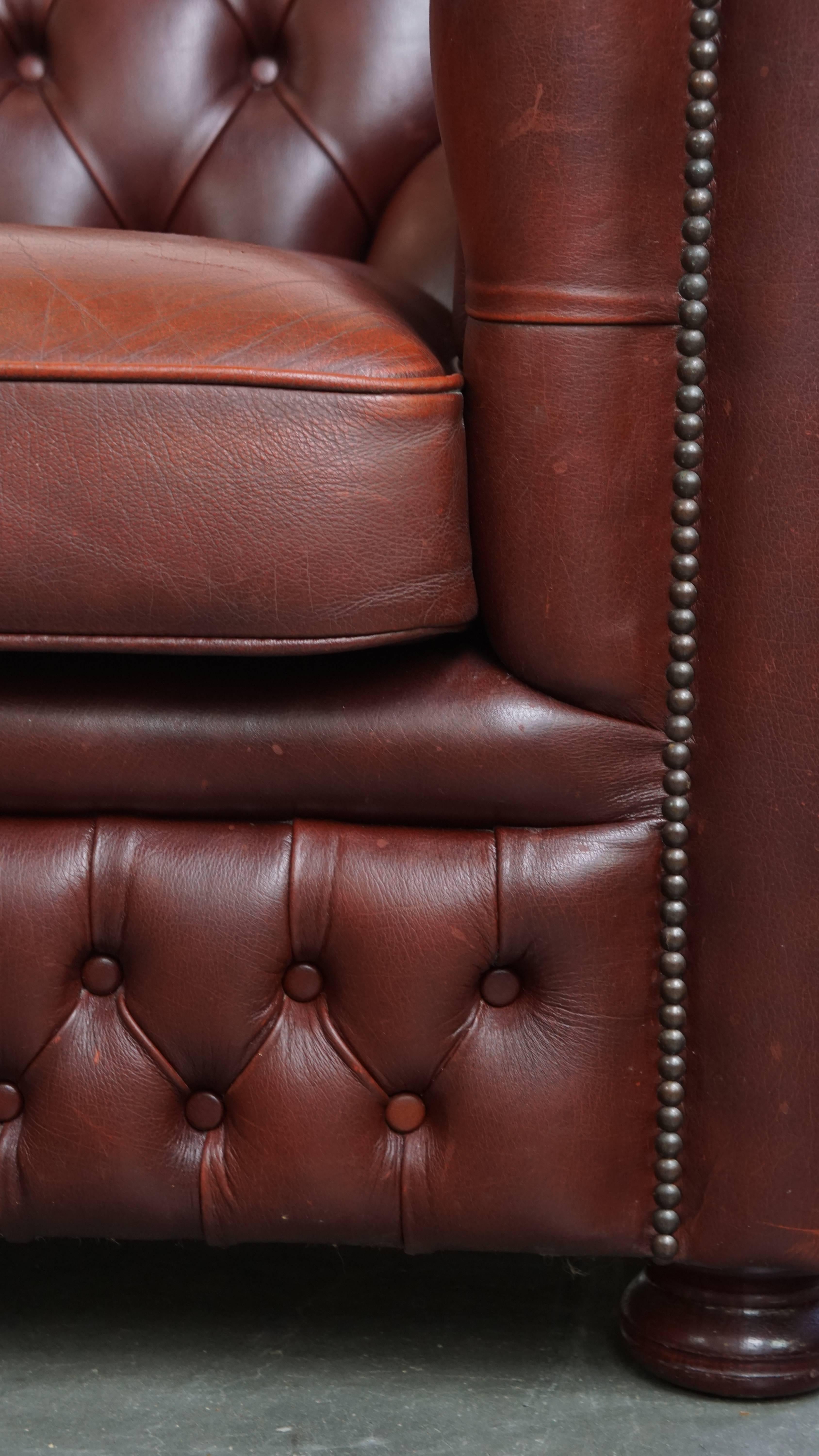 Fauteuil Chesterfield anglais en cuir de vache par Springvale en vente 6