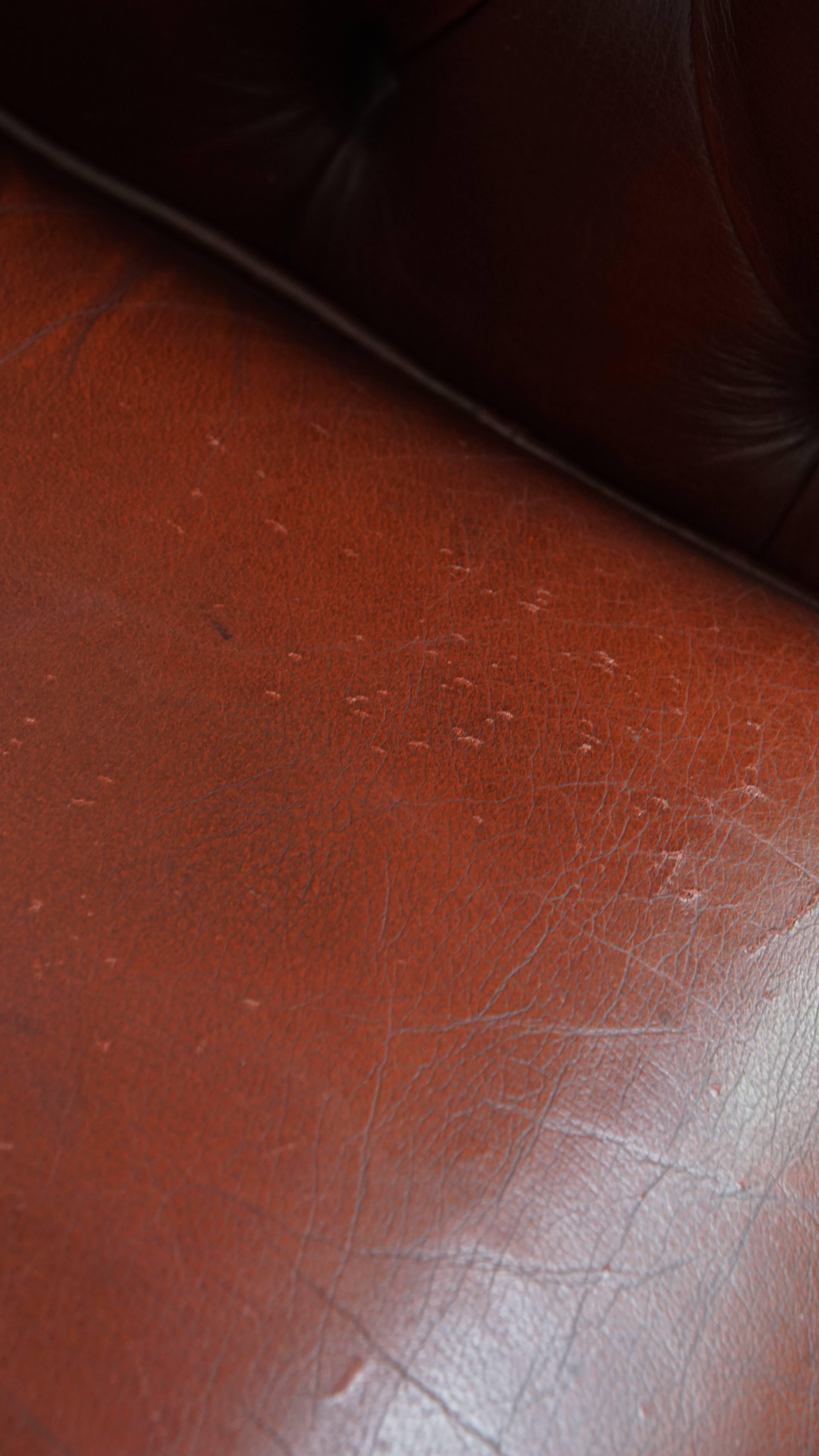 Fauteuil Chesterfield anglais en cuir de vache par Springvale en vente 7