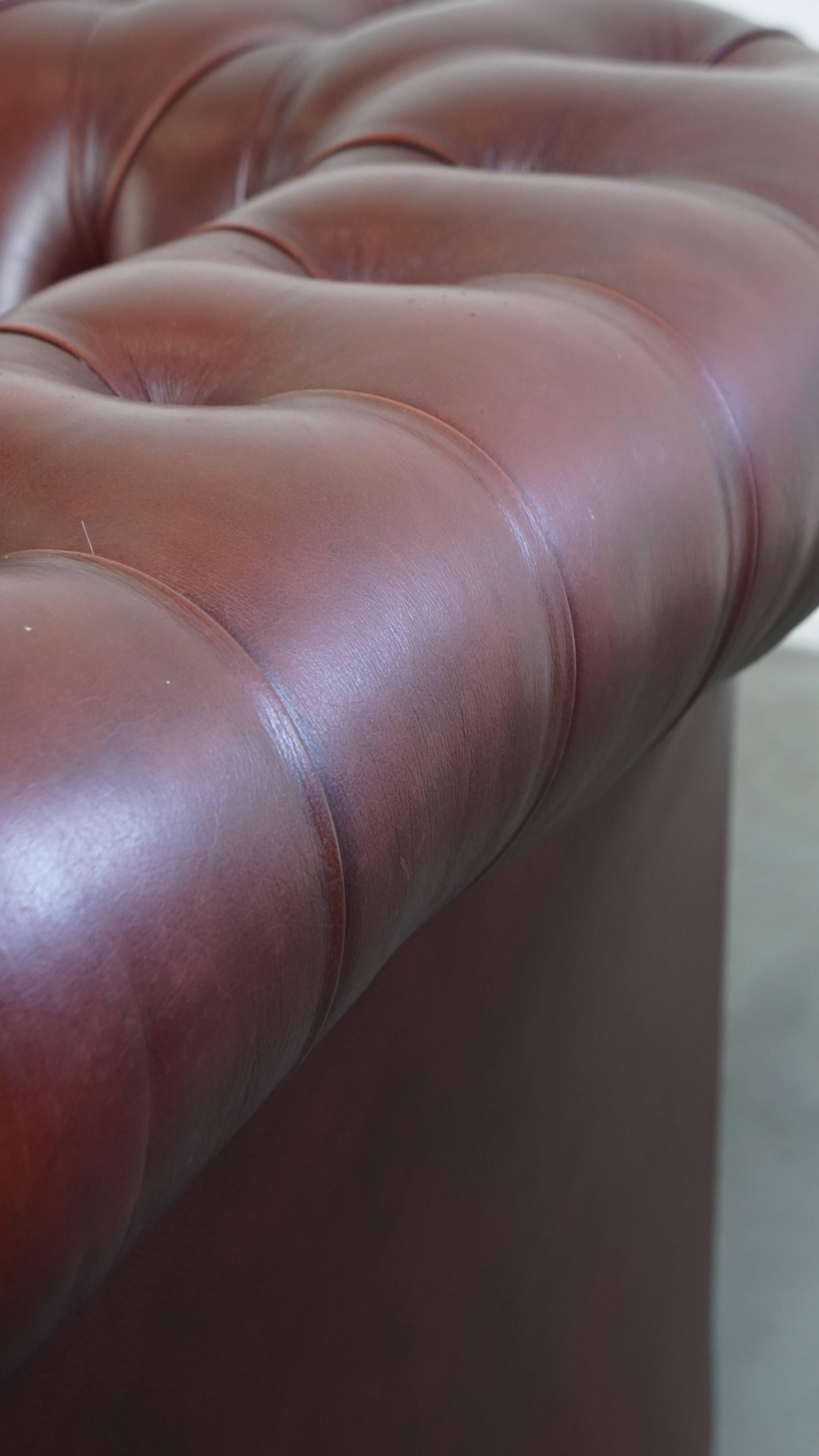 Fauteuil Chesterfield anglais en cuir de vache par Springvale en vente 11