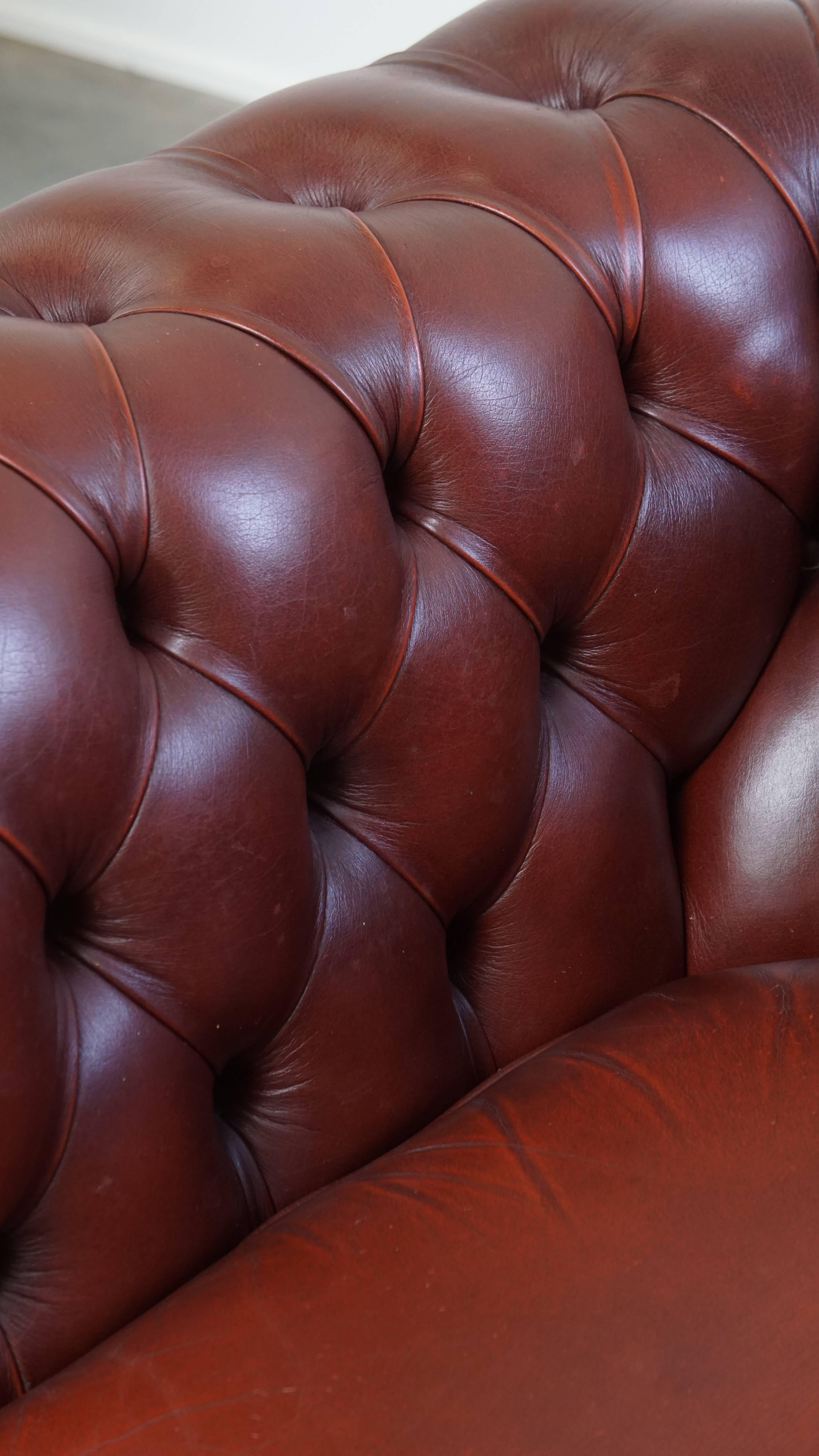 Fauteuil Chesterfield anglais en cuir de vache par Springvale en vente 12