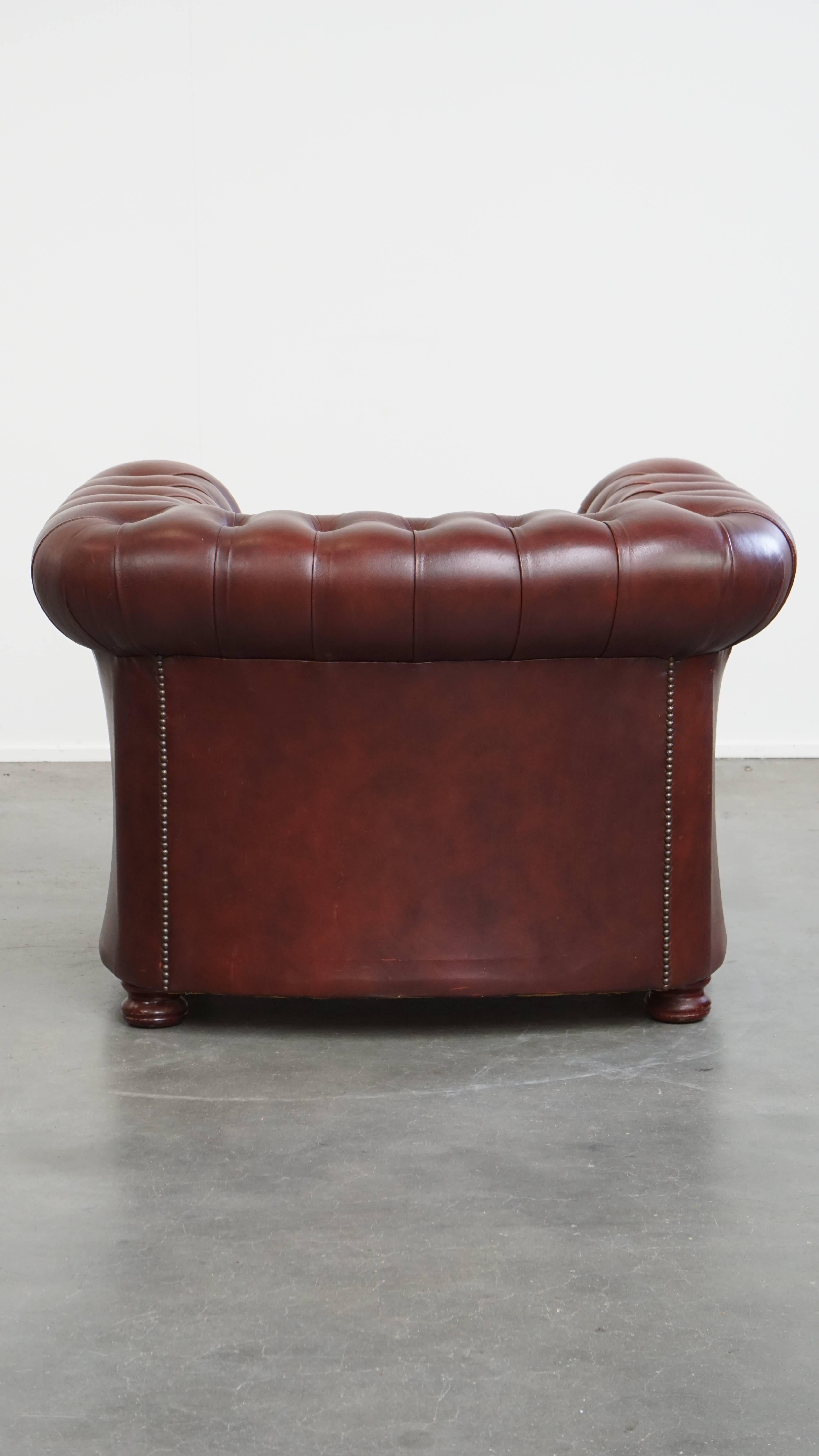 Fauteuil Chesterfield anglais en cuir de vache par Springvale Bon état - En vente à Harderwijk, NL