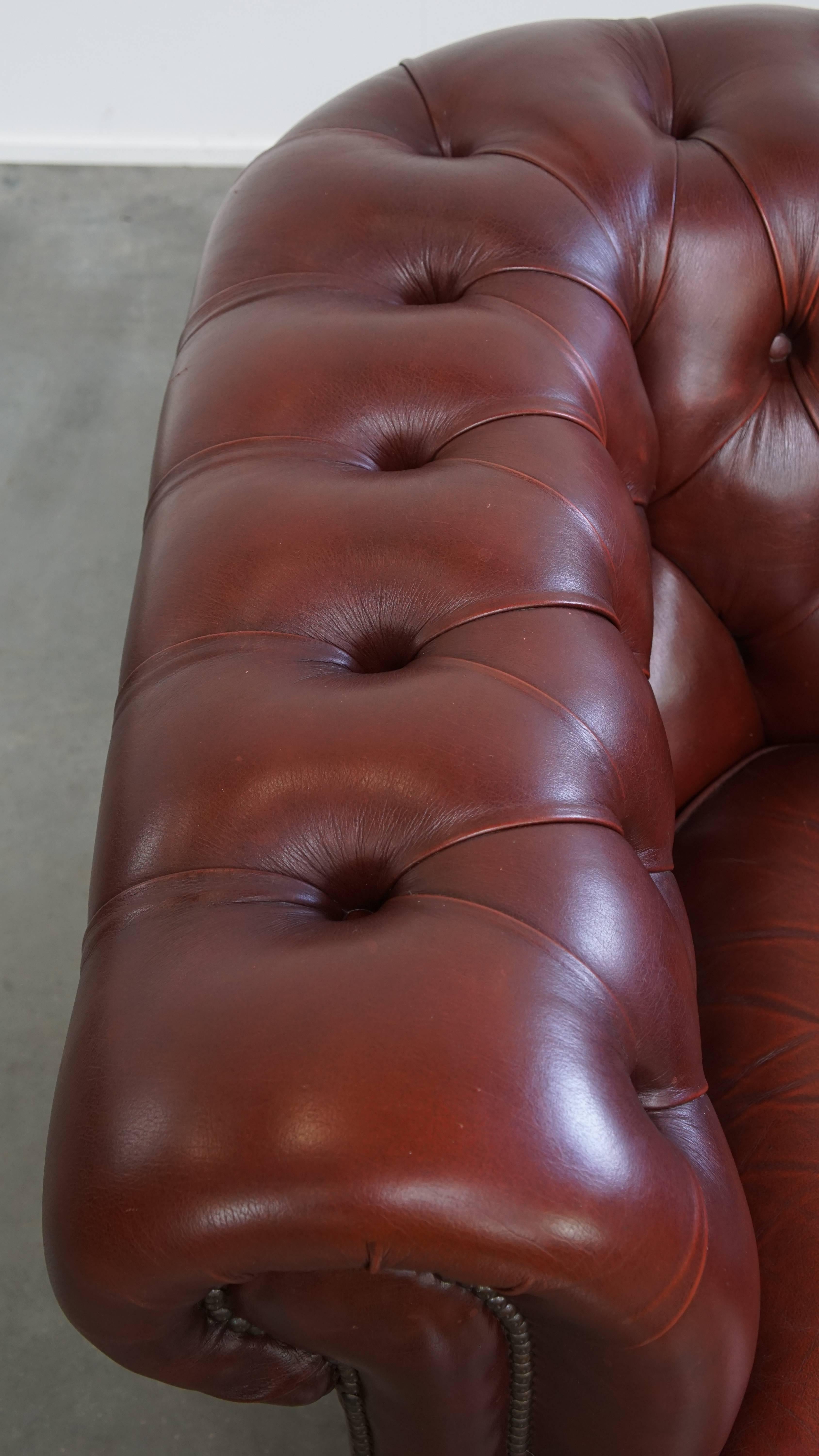 Fauteuil Chesterfield anglais en cuir de vache par Springvale en vente 1