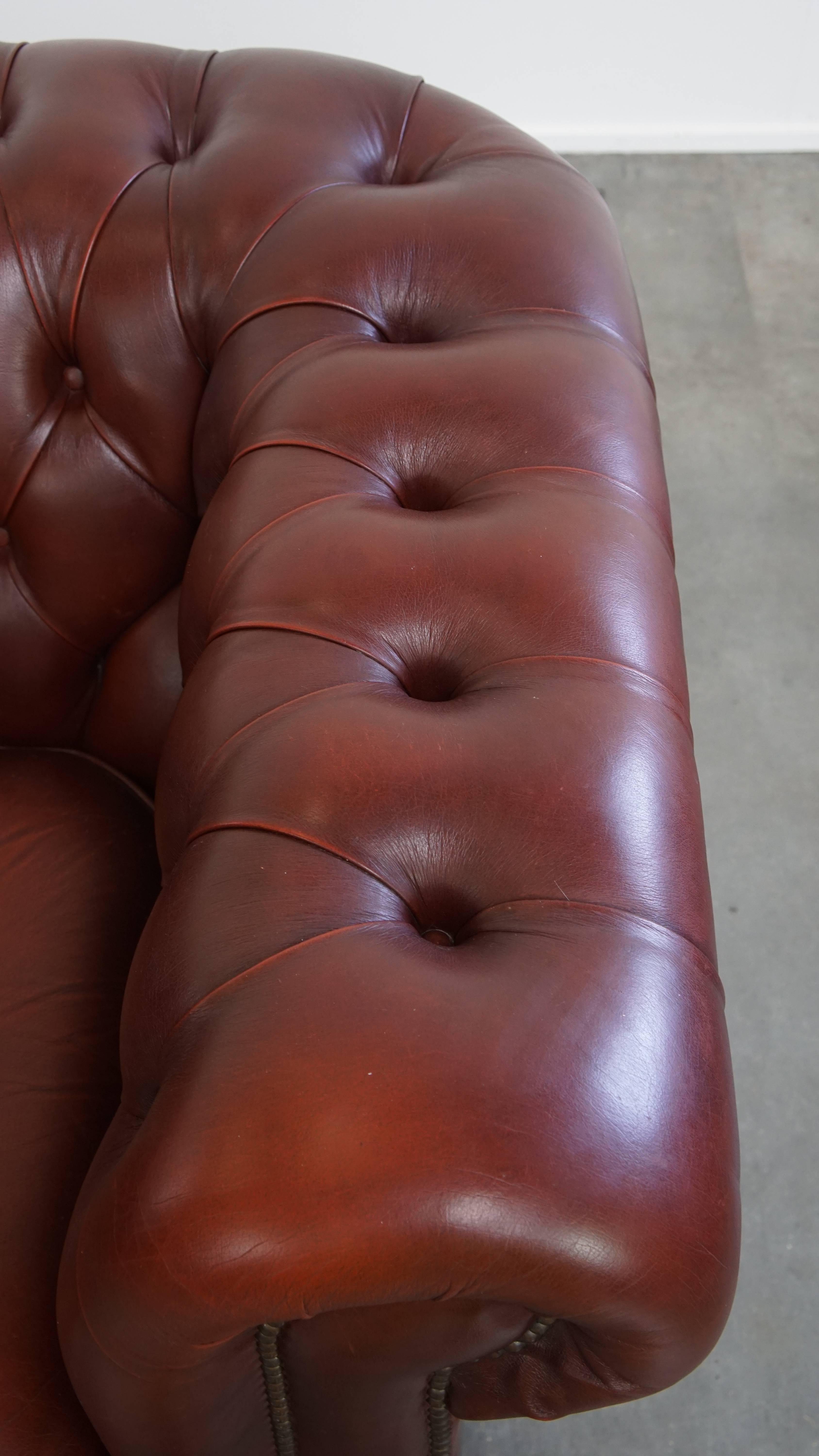 Fauteuil Chesterfield anglais en cuir de vache par Springvale en vente 2