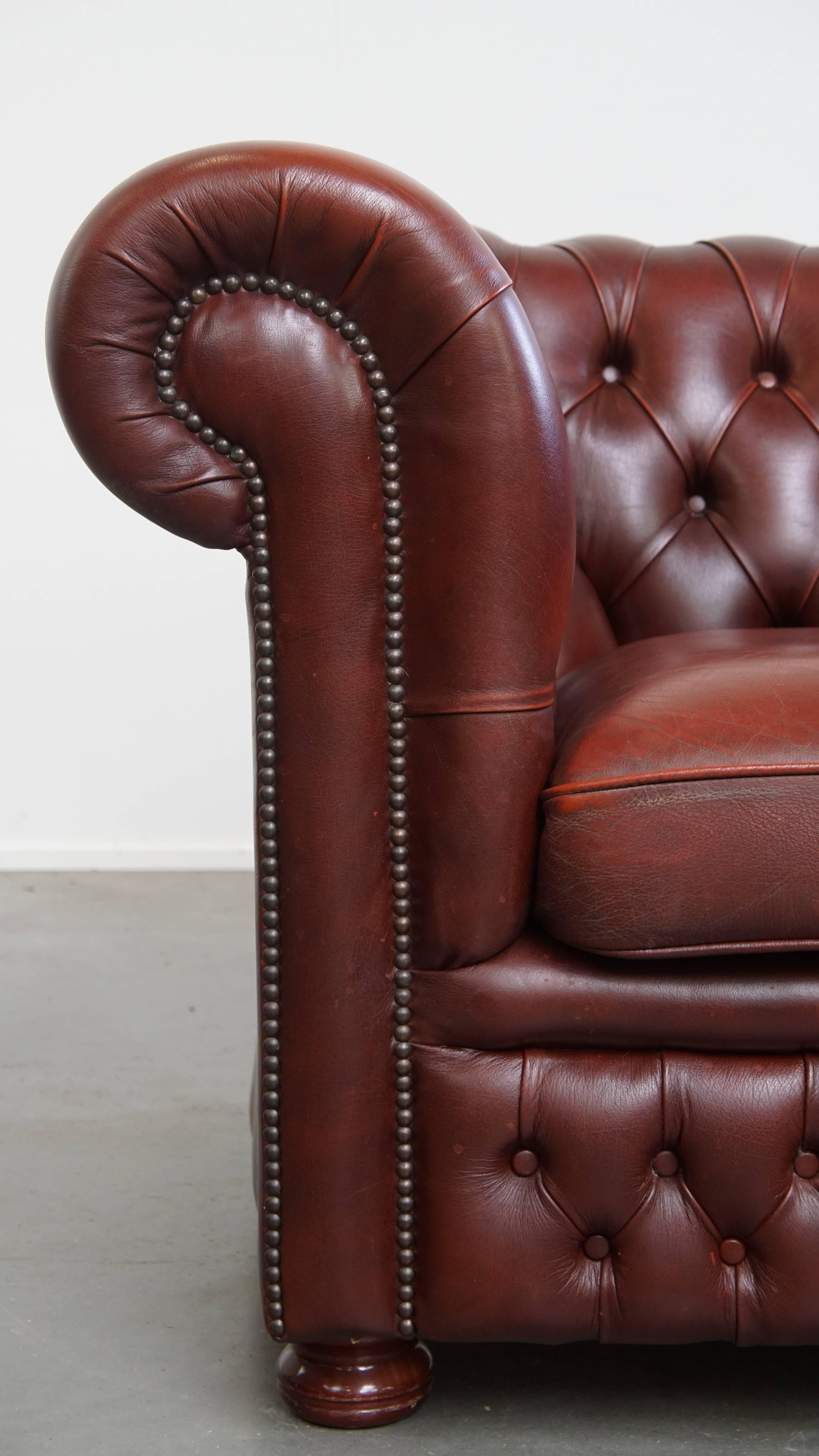 Fauteuil Chesterfield anglais en cuir de vache par Springvale en vente 3