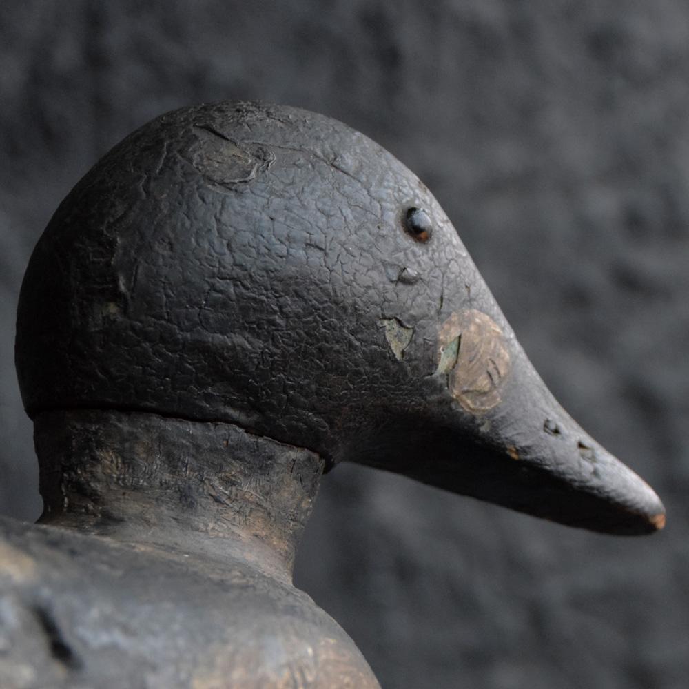 British English Decoy Duck with Amazing Paint and Glass Eyes, circa 1890