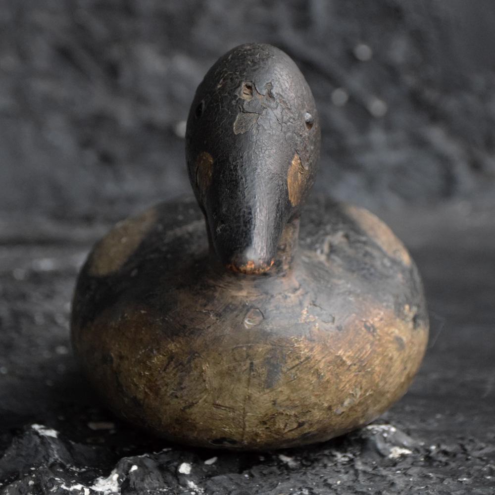 English Decoy Duck with Amazing Paint and Glass Eyes, circa 1890 1