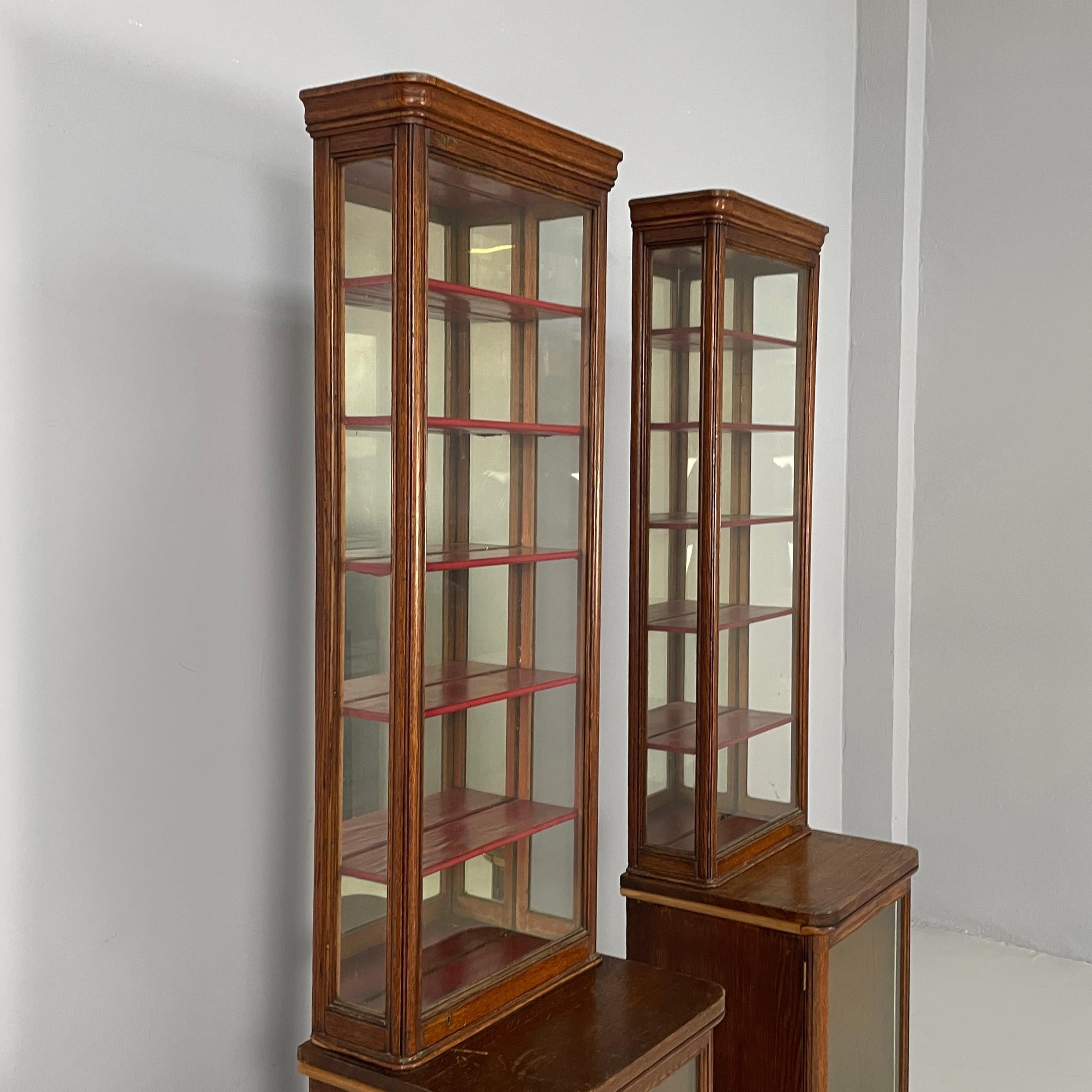 Englische Vitrinenkästen aus Holz und Glas, Mitte der 1800er Jahre im Angebot 1