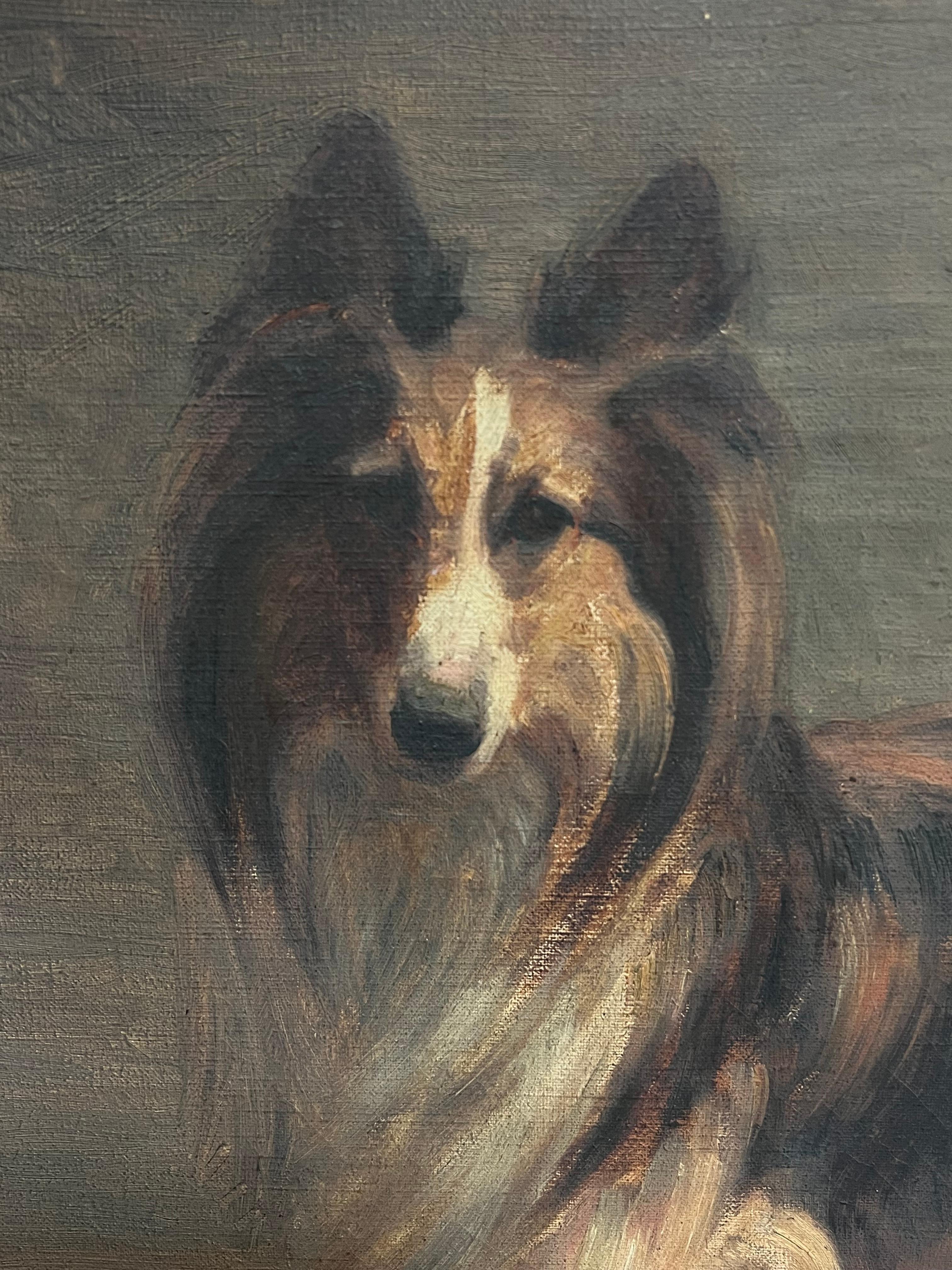 Antique 1900's English Oil Painting Portrait of a Collie Dog d.1909 1