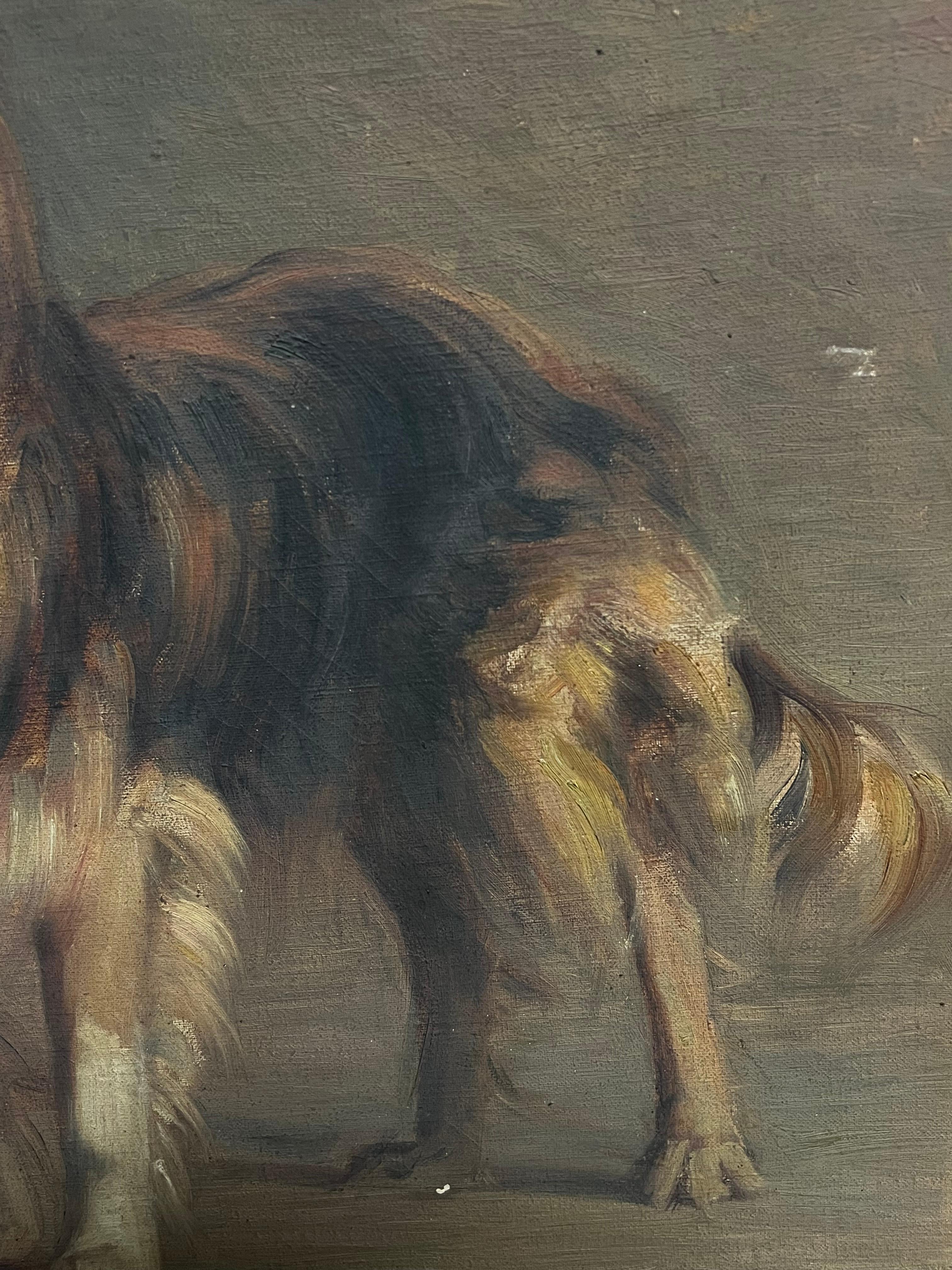 Antique 1900's English Oil Painting Portrait of a Collie Dog d.1909 2