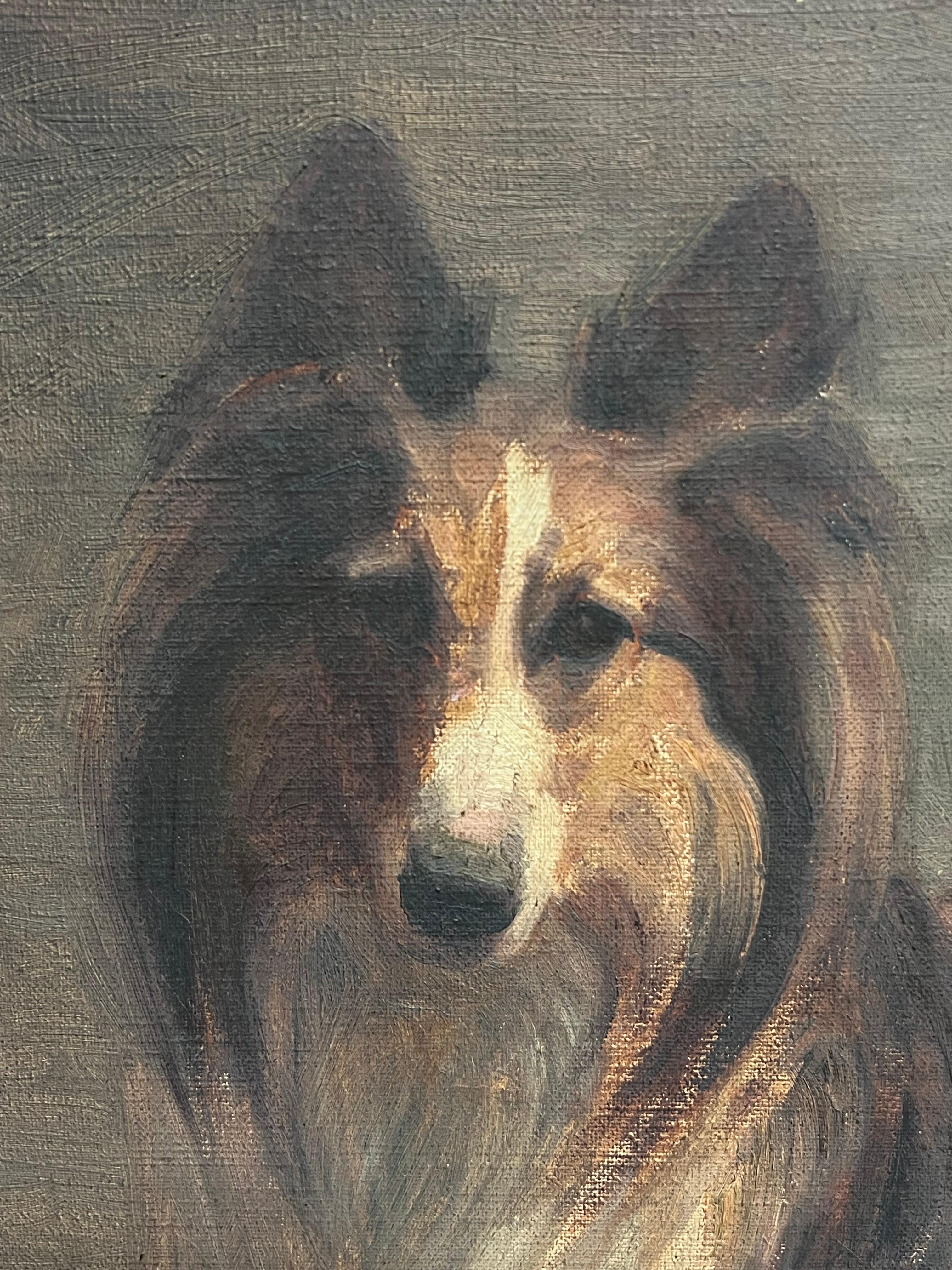 Antique 1900's English Oil Painting Portrait of a Collie Dog d.1909 5