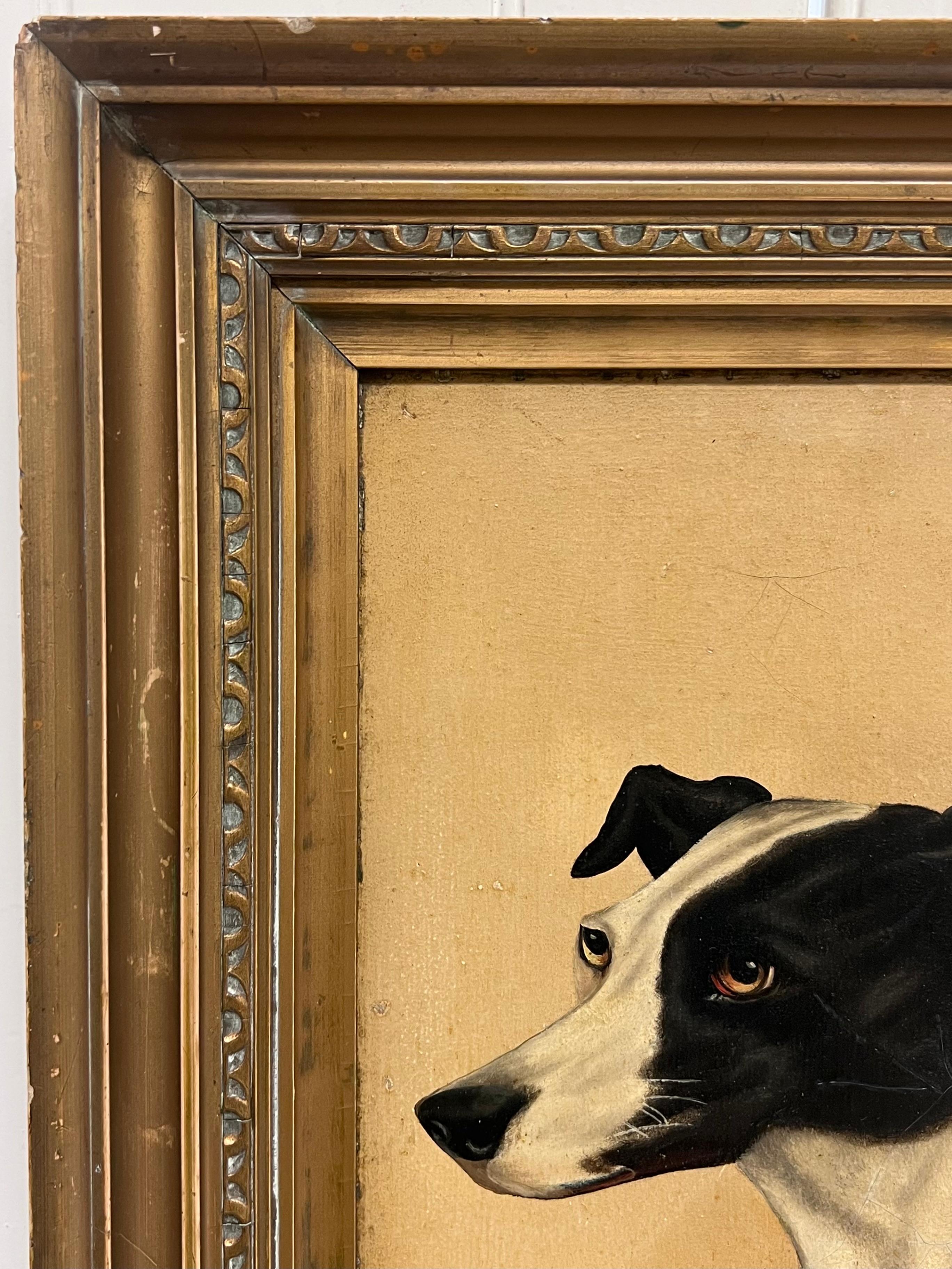 Head Portrait of a Dog (Whippet? Greyhound?)
English artist, early 20th century
signed oil on board, framed 
framed: 20 x 15 inches
board: 15 x 20 inches
Provenance: private collection, UK
Condition: very good condition

For more any more