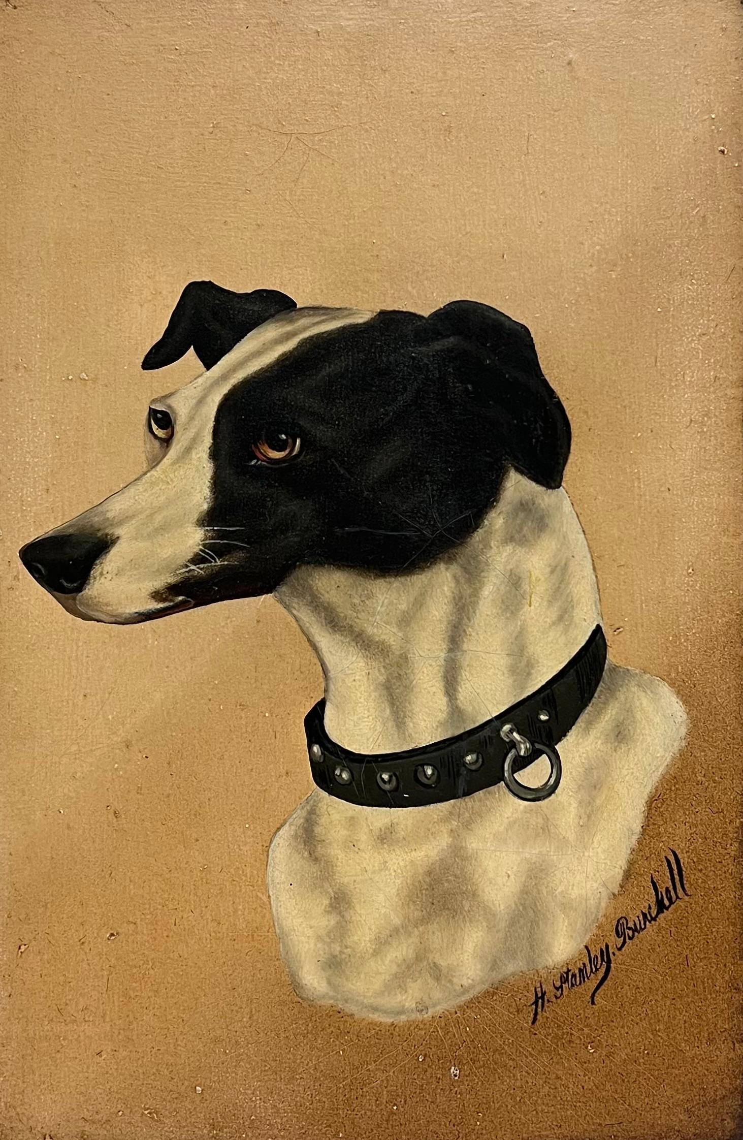 Antique English Dog Oil Painting Head Portrait of Whippet/ Greyhound, signed For Sale 2