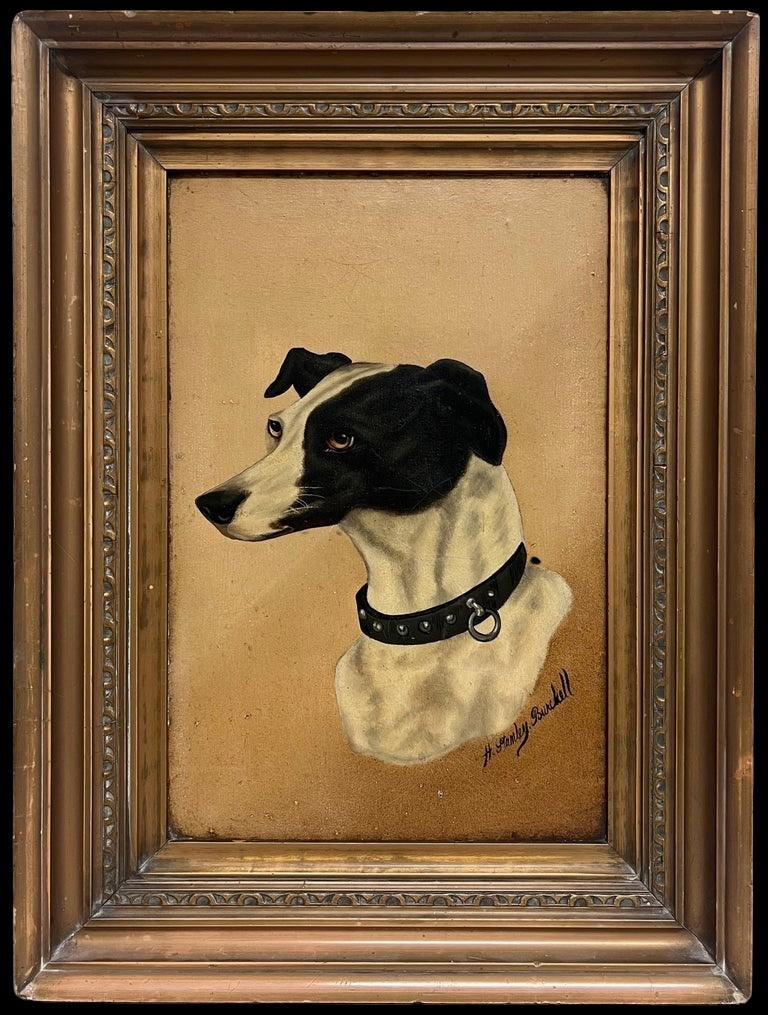 English dog artist Portrait Painting - Antique English Dog Oil Painting Head Portrait of Whippet/ Greyhound, signed