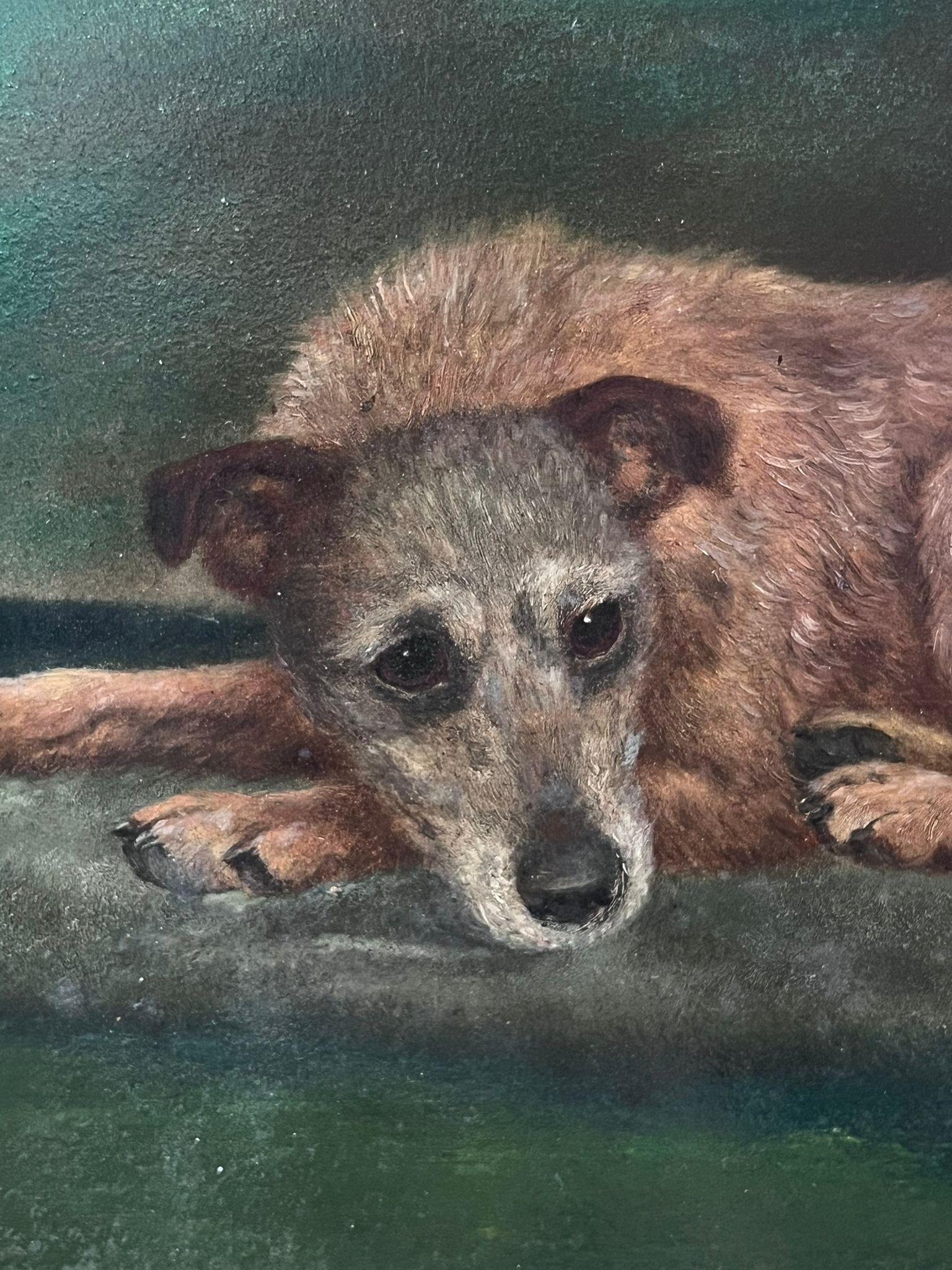 Pintura al óleo antigua de perro inglés Retrato de perro terrier de pelo largo tumbado - Painting Escuela inglesa de English dog artist