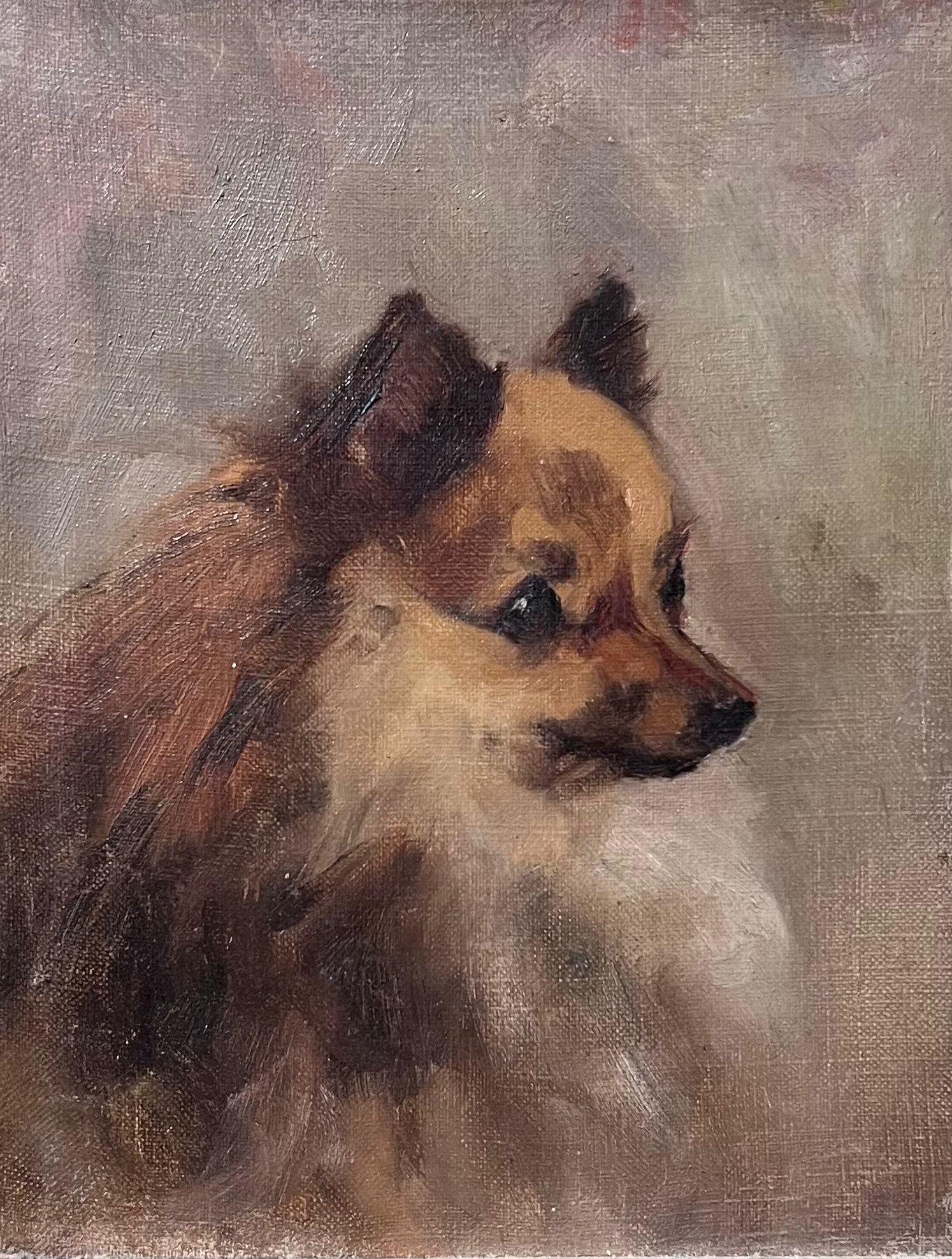 Antiguo Óleo Inglés Retrato de Perro Pomerania Siglo XIX enmarcado - Painting de English dog artist
