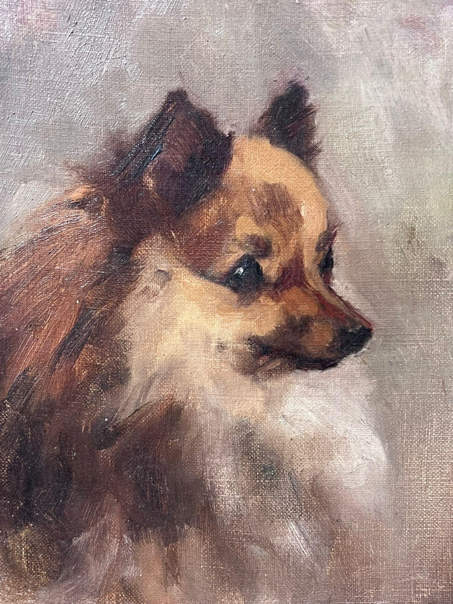 Antiguo Óleo Inglés Retrato de Perro Pomerania Siglo XIX enmarcado - Painting Escuela inglesa de English dog artist