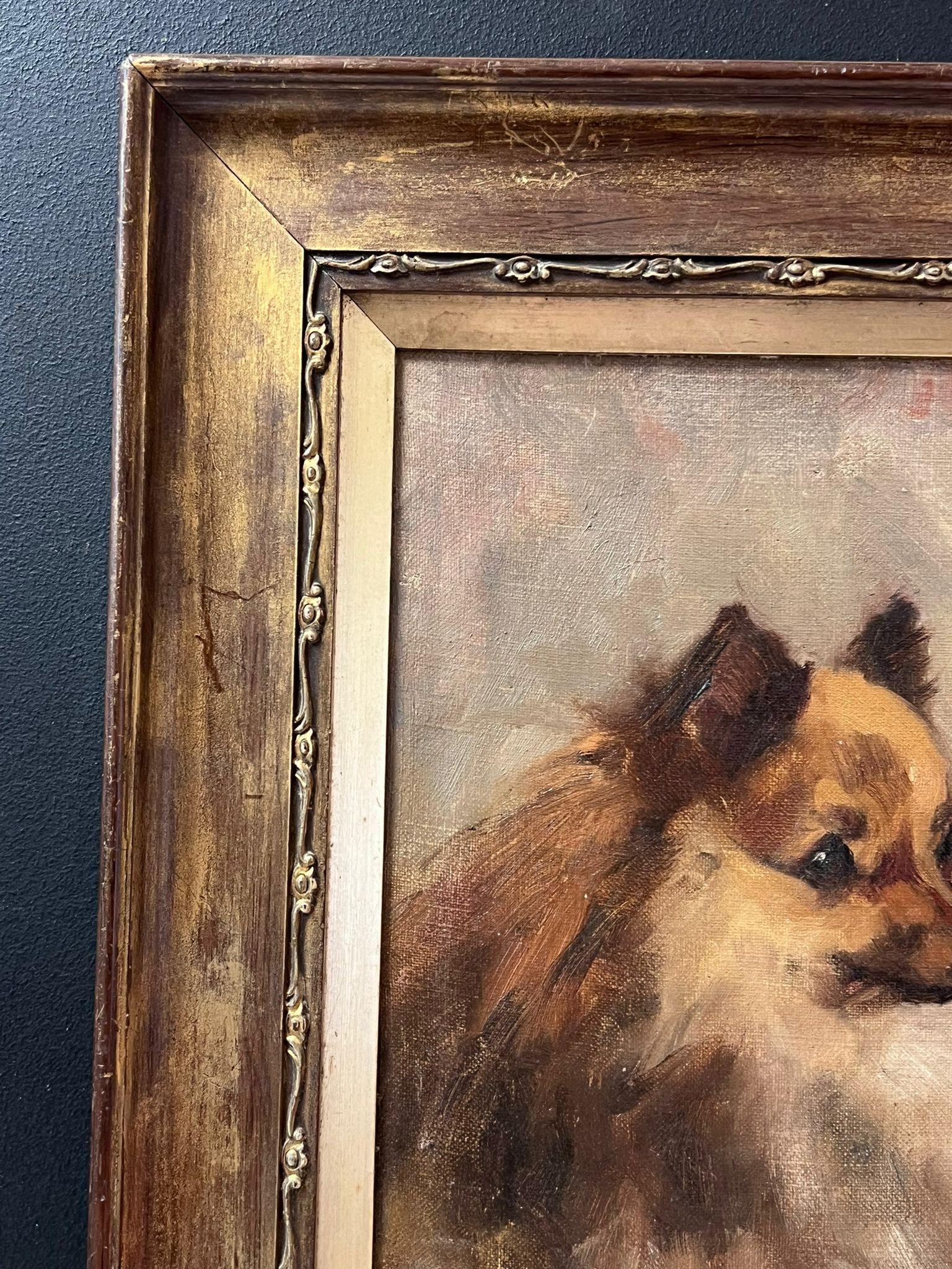 Antiguo Óleo Inglés Retrato de Perro Pomerania Siglo XIX enmarcado - Portrait Painting Marrón de English dog artist