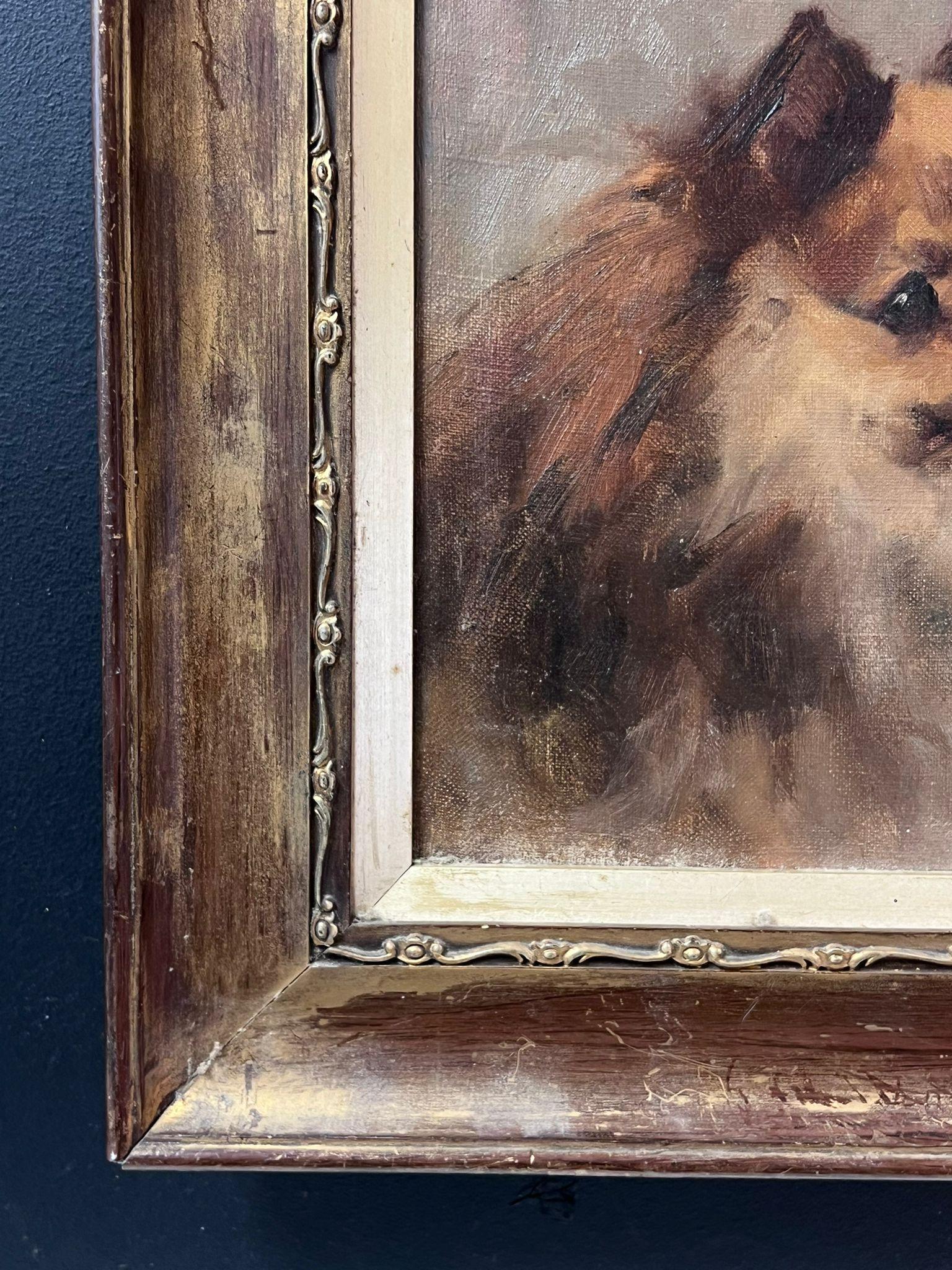 Antiguo Óleo Inglés Retrato de Perro Pomerania Siglo XIX enmarcado en venta 1