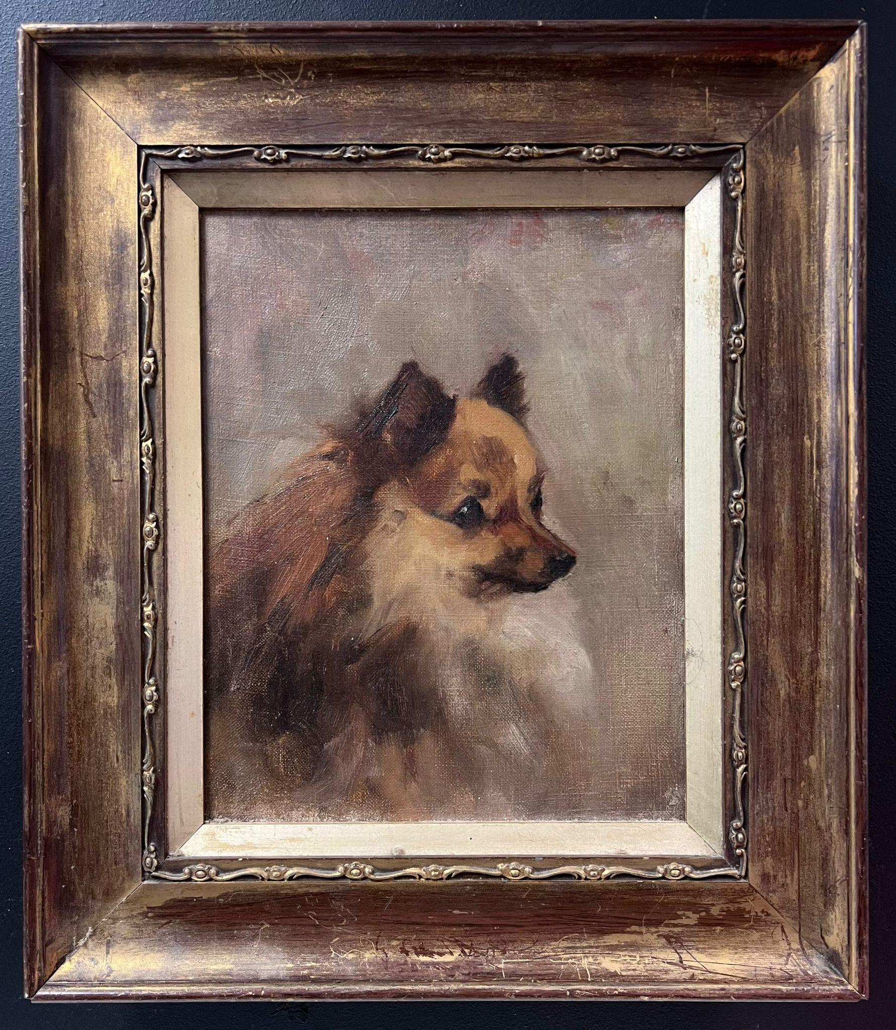 Antiguo Óleo Inglés Retrato de Perro Pomerania Siglo XIX enmarcado