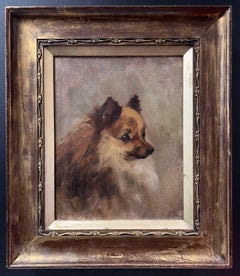 Antiguo Óleo Inglés Retrato de Perro Pomerania Siglo XIX enmarcado