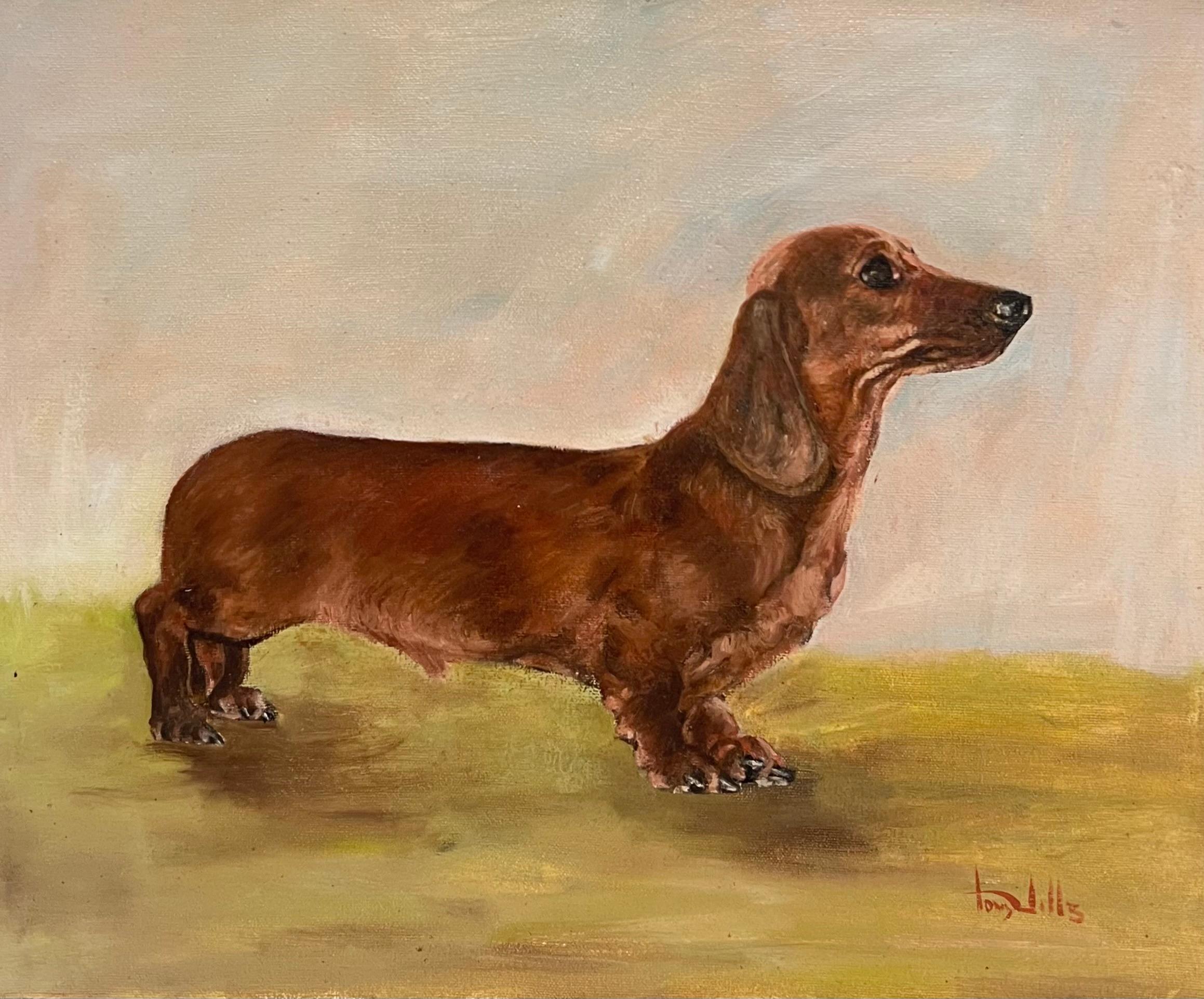 Portrait Painting English dog artist - The Dachshund Dog Vintage English Original Oil Painting Signed c. 1970's