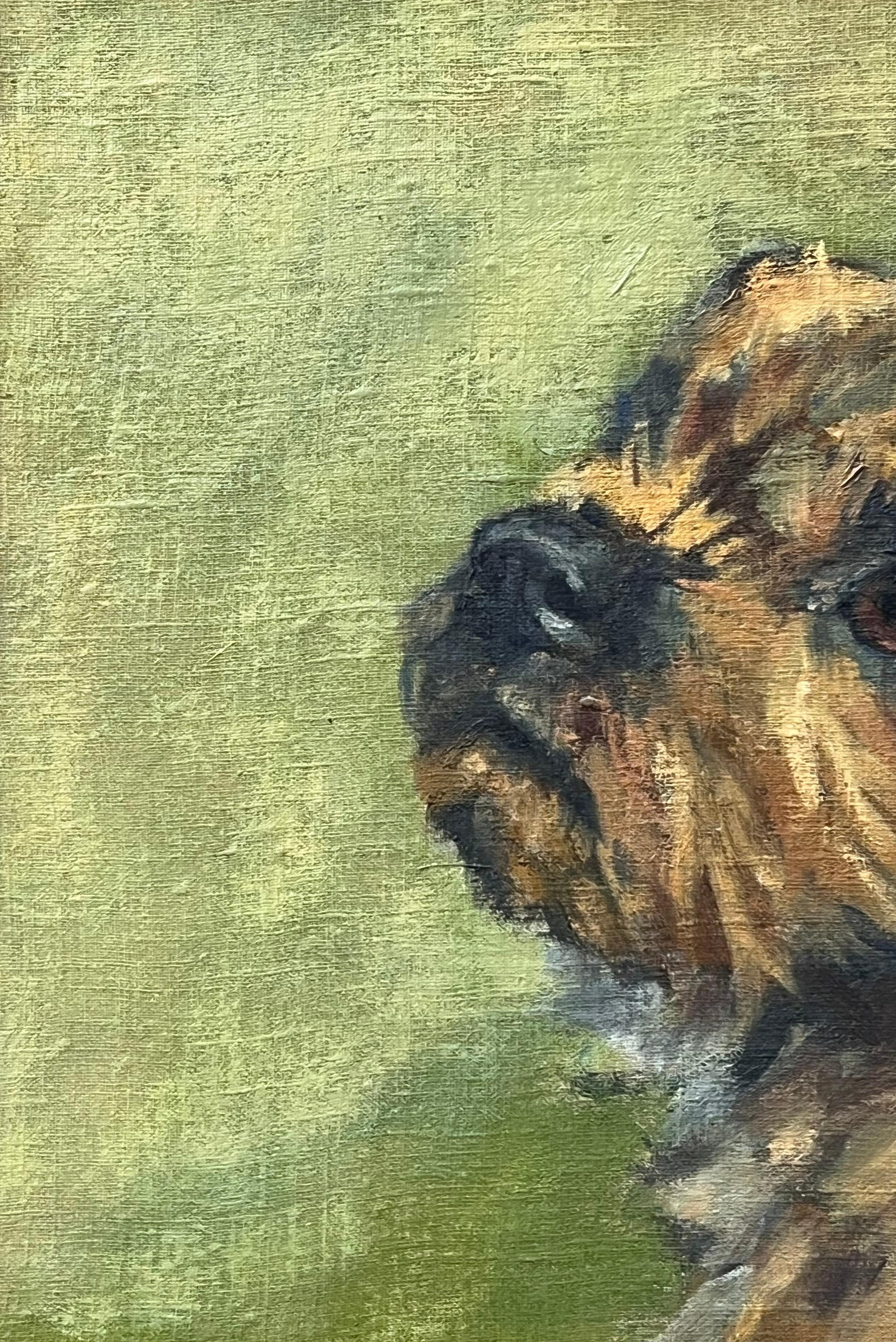 El cachorro de Border Terrier Pintura al óleo inglesa firmada arte canino original, siglo XX - Animal Painting Marrón de English Dog Painter