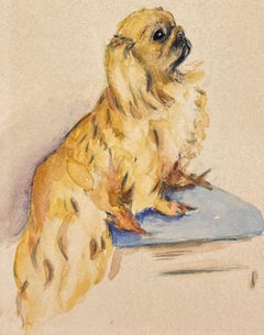 Delicado Retrato de un Perro Pekinés Posado Pintura Inglesa Antigua a la Acuarela