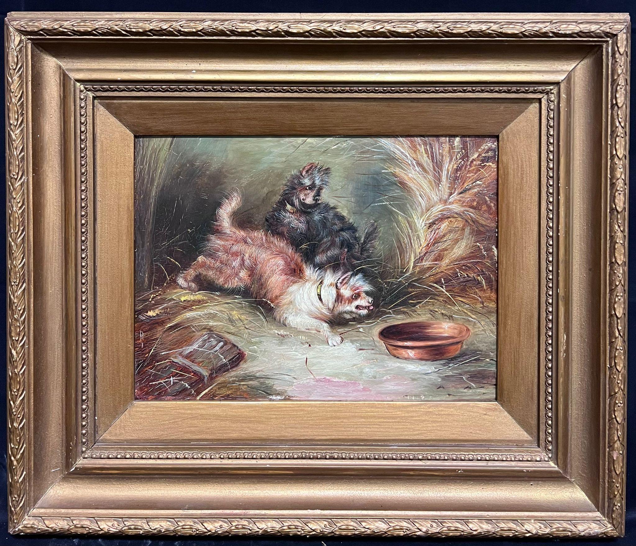 Playful Terriers Pouncing To The Dog Bowl Antique English Oil Painting - Gray Portrait Painting by English Dog Painting