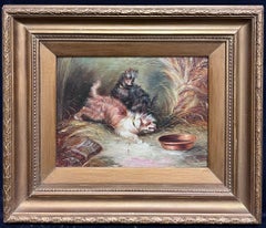 Playful Terriers Pouncing To The Dog Bowl Antique English Oil Painting
