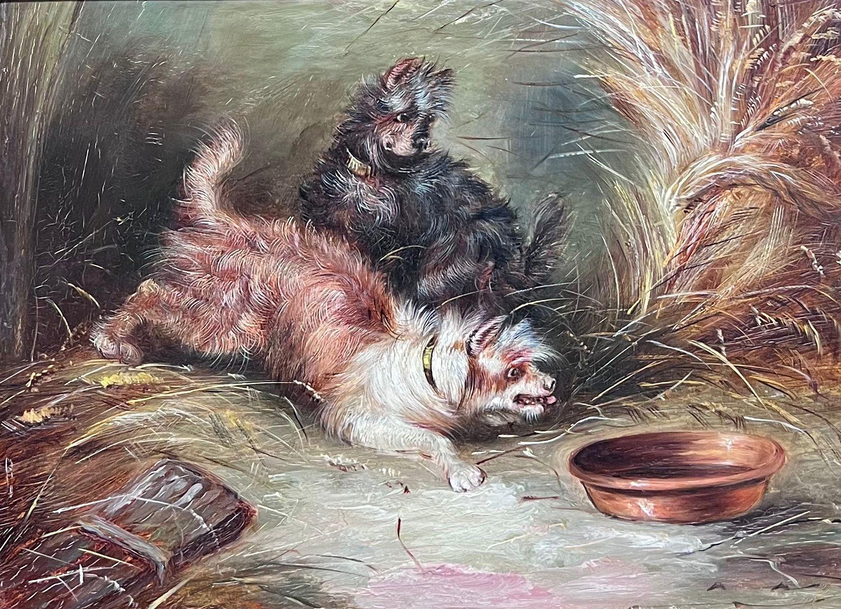 Playful Terriers Pouncing To The Dog Bowl Antique English Oil Painting