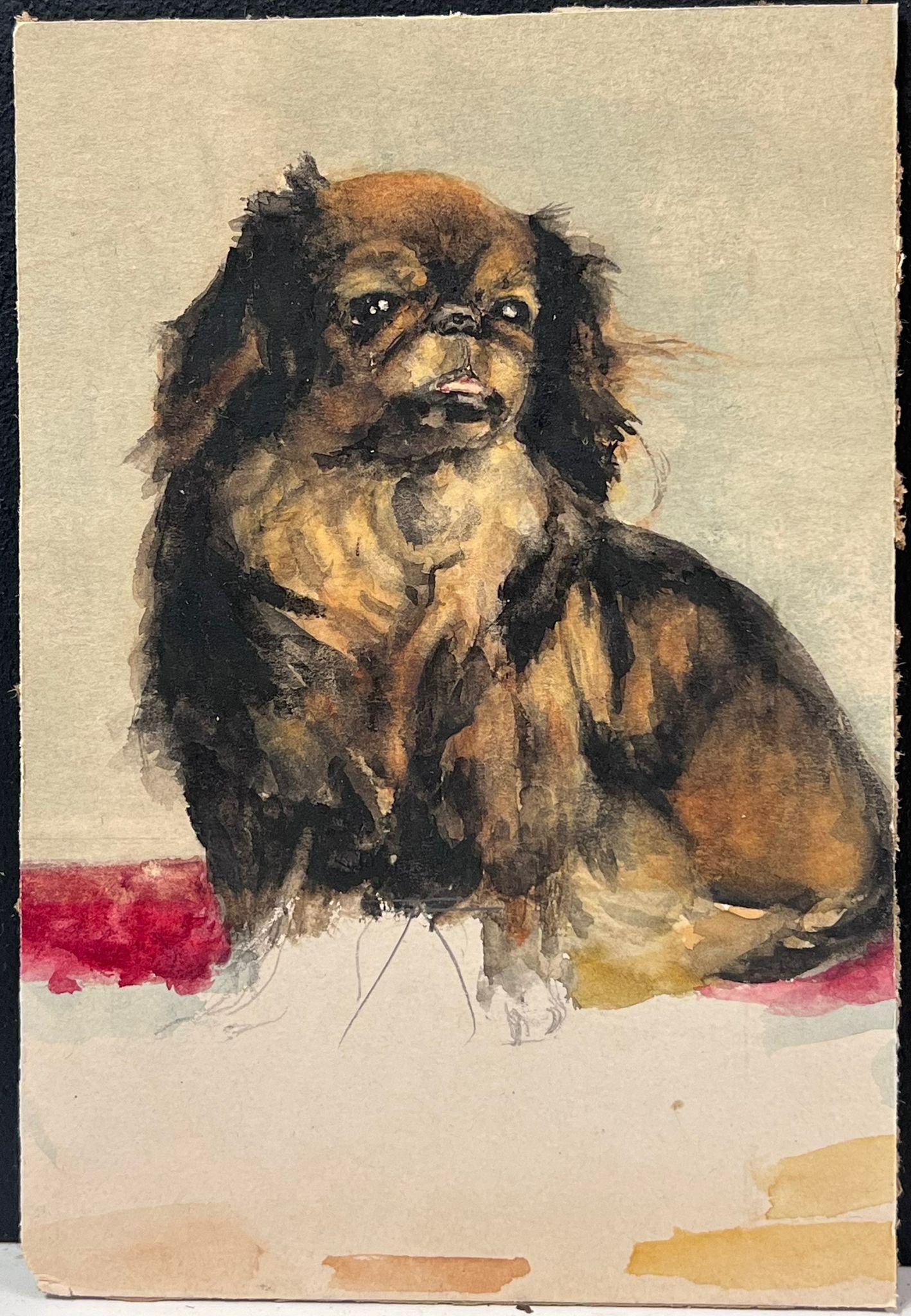 Retrato de un Perro Pekinés Encantadora Pintura Antigua Inglesa a la Acuarela - Painting de English Dog Painting