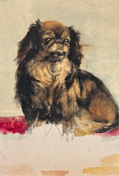 Ritratto di un cane pechinese Affascinante acquerello inglese antico