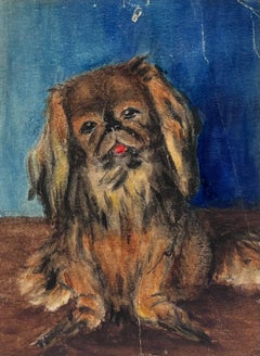 Ritratto di cane pechinese Acquerello inglese d'epoca