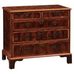 English Early 18th Century Oyster Veneer Chest in Walnut with Box Wood Inlay