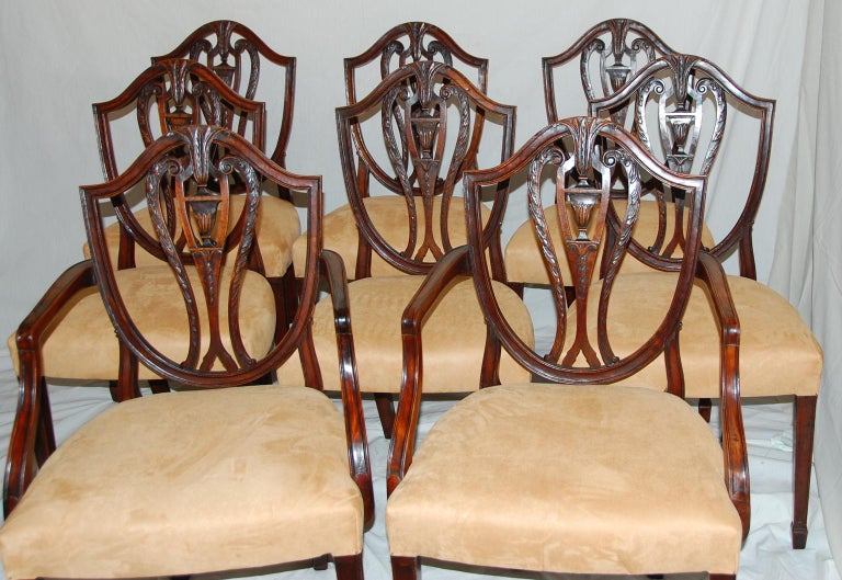 English Hepplewhite carved mahogany early 19th century shieldback set of eight dining chairs, including two armchairs and six sidechairs. The shieldbacks have carved urn and acanthus leaf detailing, the tapered legs continue the fine edge carving of