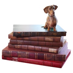 Englisch Anfang 20. Jh. Überdimensionale riesige Ex-Museum Leder gebundenes Buch Folios Box
