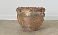 English Early 20th Century Terracotta Compton Planter