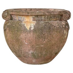 English Early 20th Century Terracotta Compton Planter