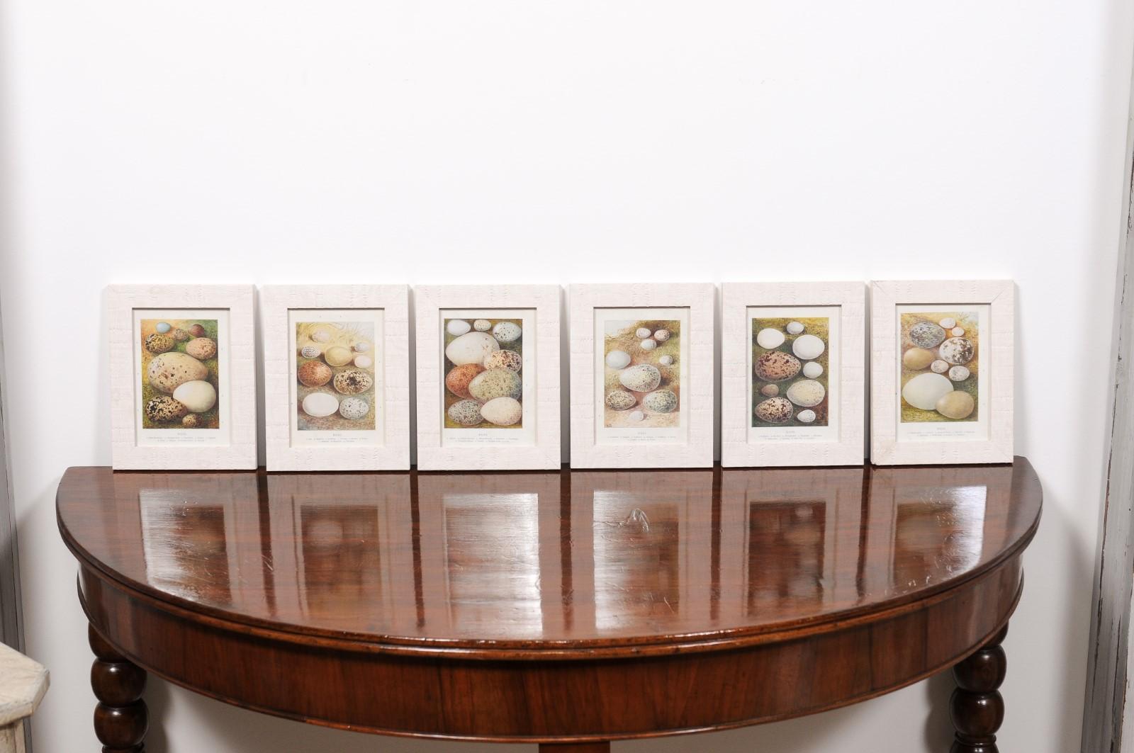 English Egg Prints from the 20th Century in Custom Wooden Frames, Priced Each In Good Condition For Sale In Atlanta, GA