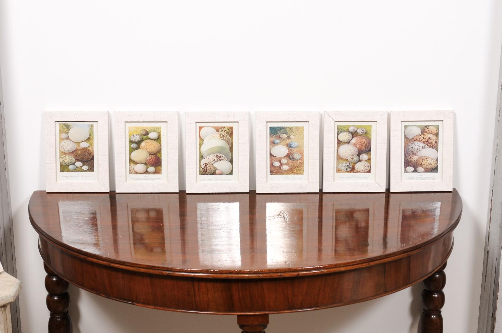 English Egg Prints from the 20th Century in Custom Wooden Frames, Priced Each For Sale 5