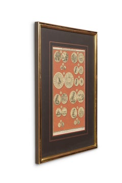 English engraving of Medals associated with King William III