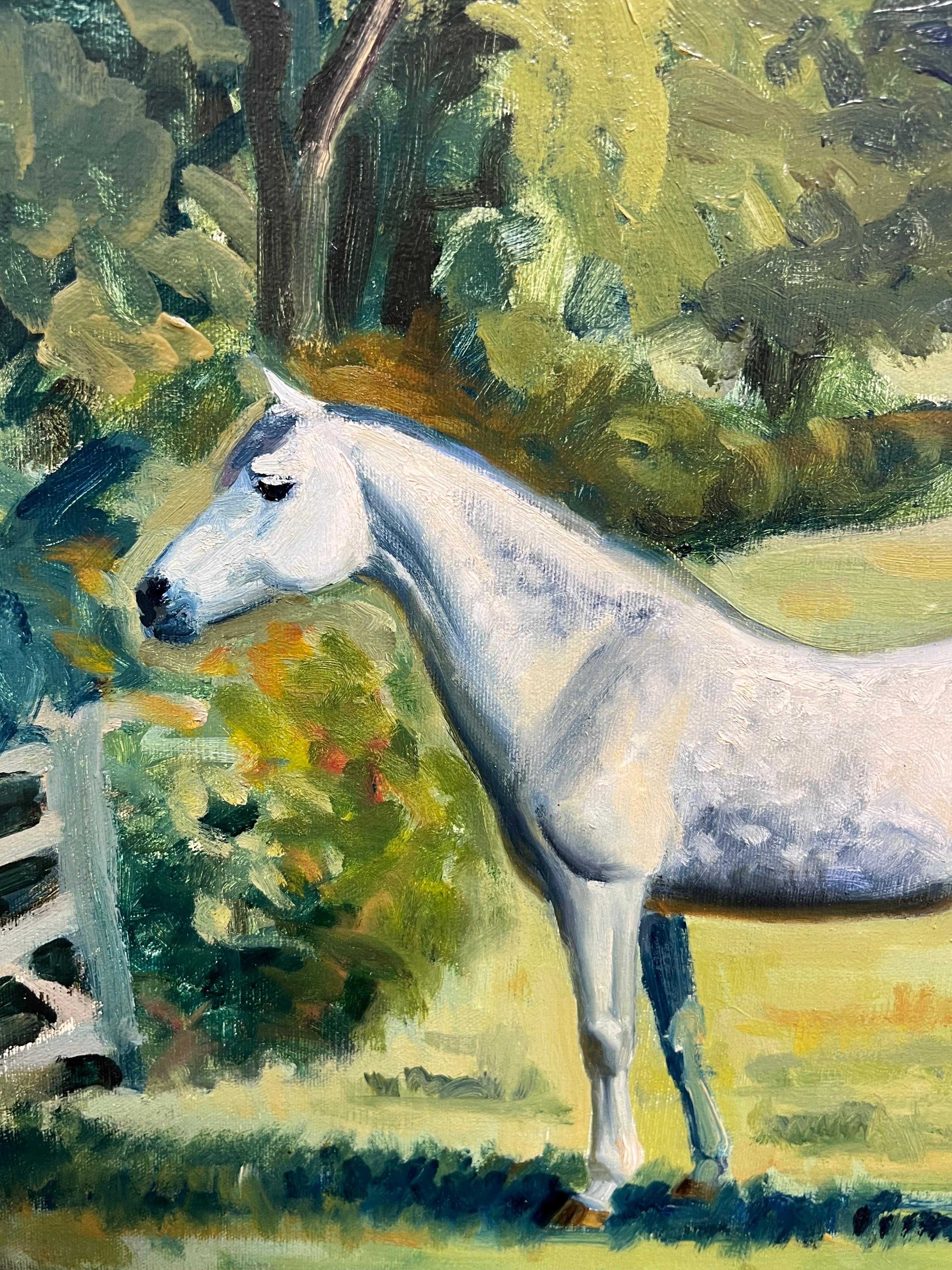 Large British Sporting Art Oil Painting White Horse in Green Fields signed 20thC For Sale 3